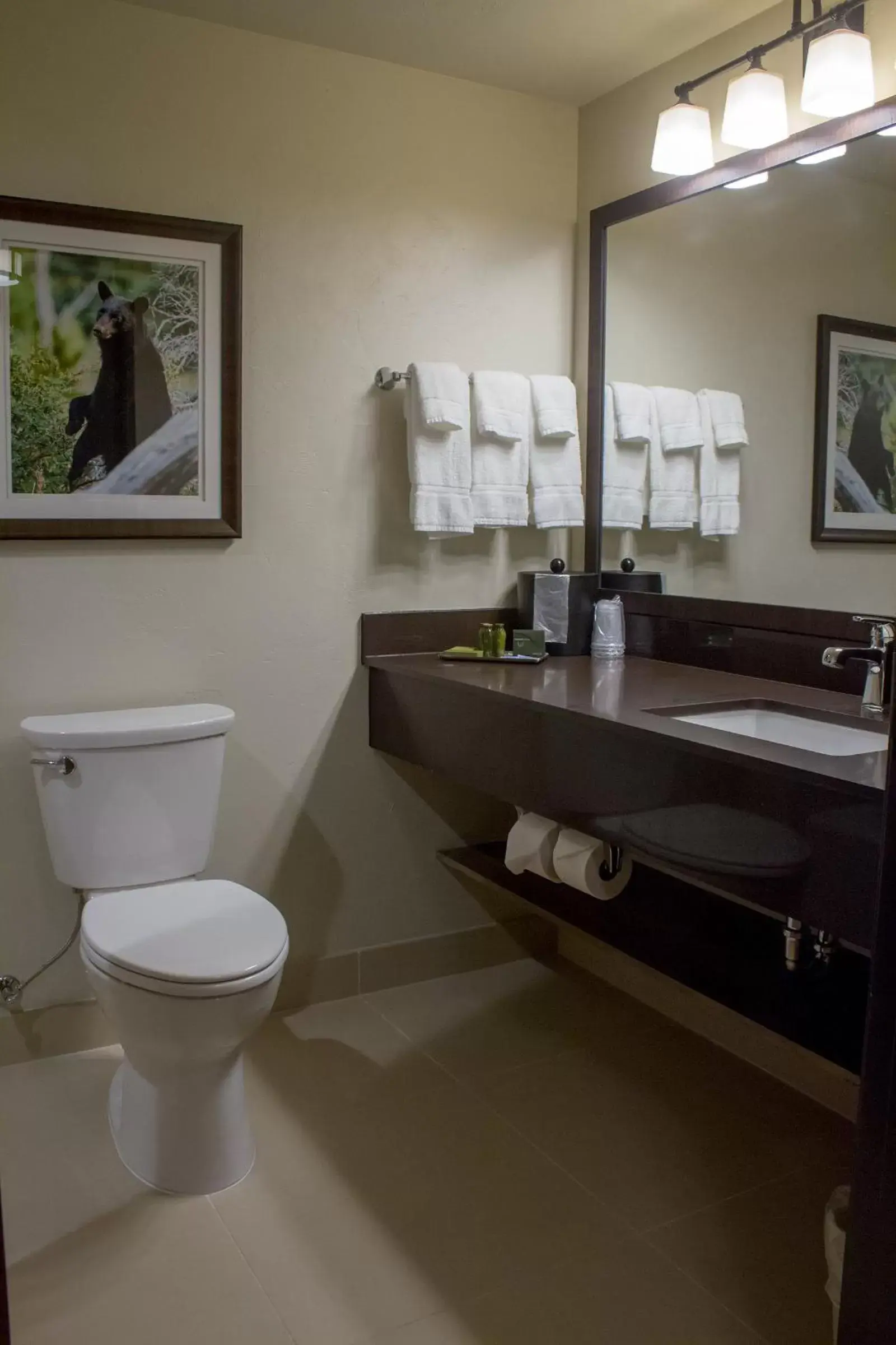 Bathroom in Cedar Creek Lodge & Conference Center