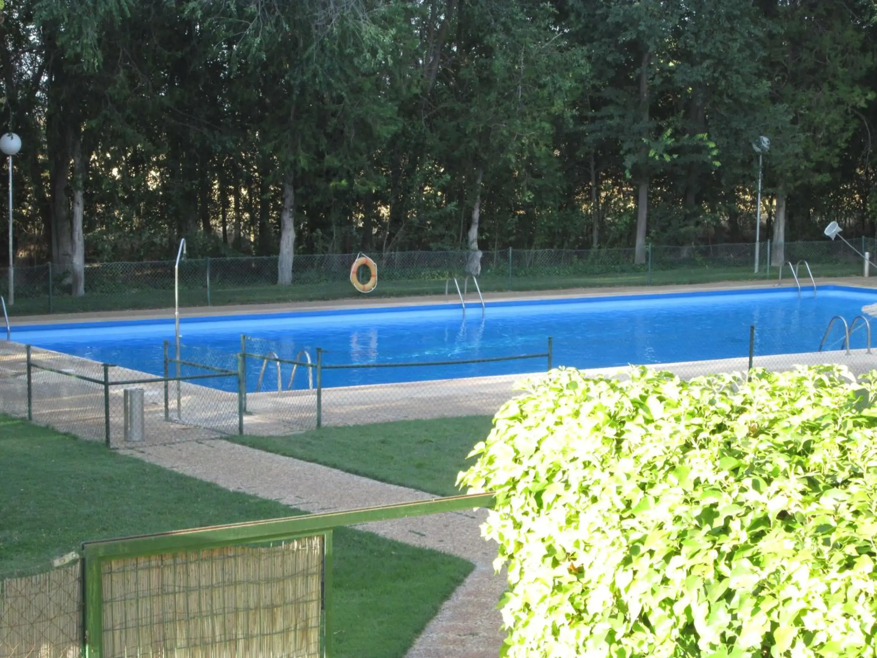 Swimming Pool in Hotel Manzanares