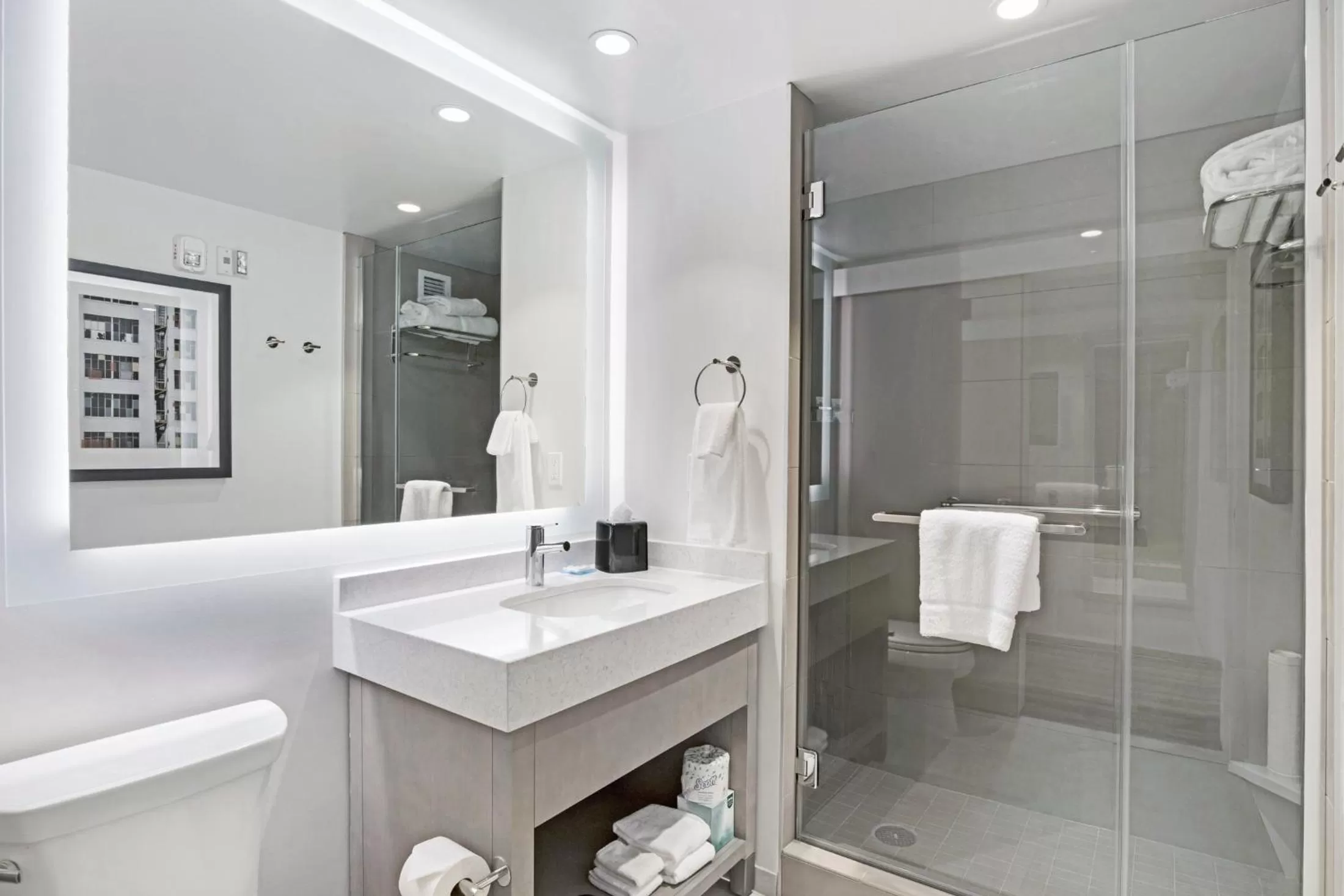 Bathroom in Hyatt House LA - University Medical Center