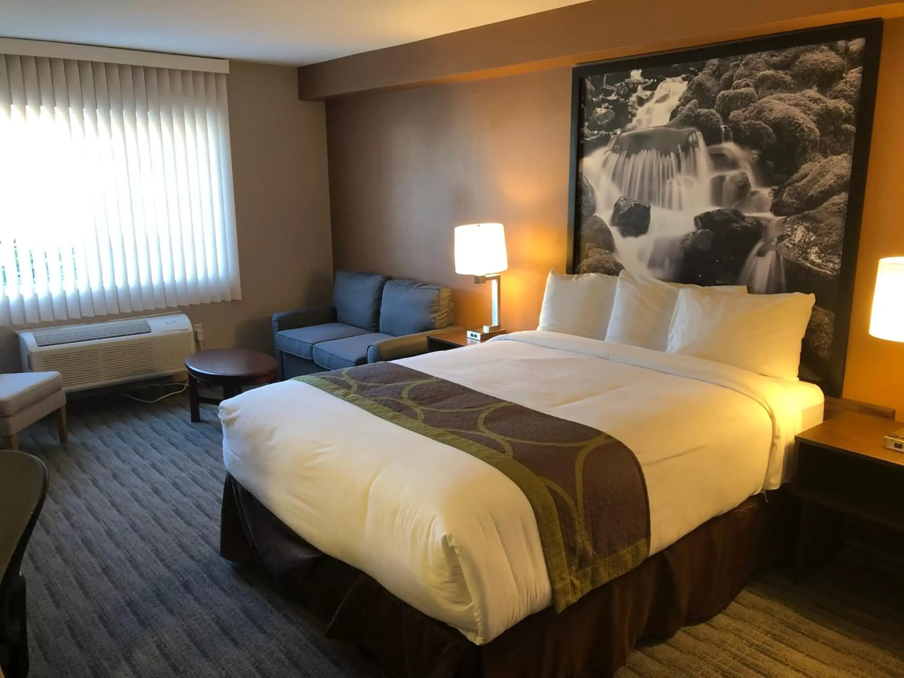 Bedroom, Bed in Super 8 by Wyndham Lynnwood