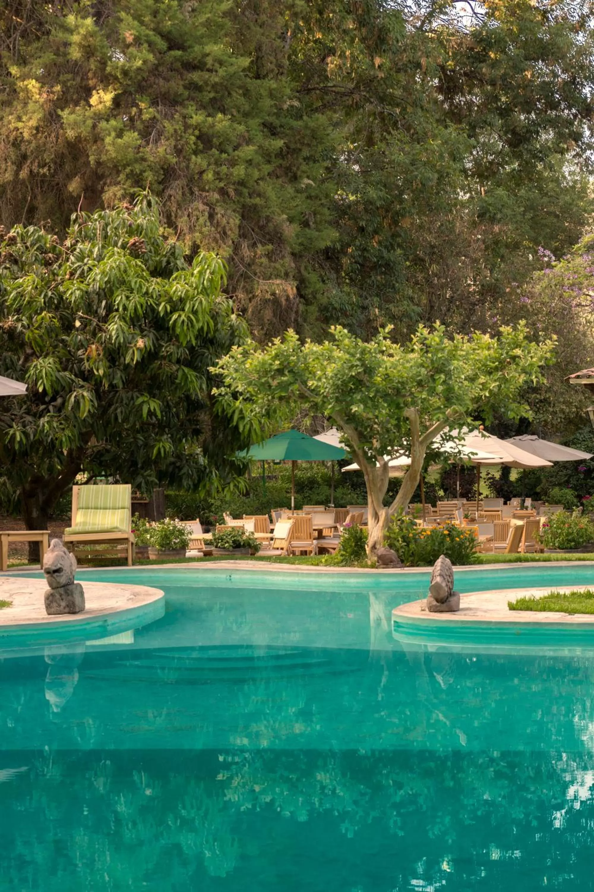 Day in Hotel Rancho San Cayetano