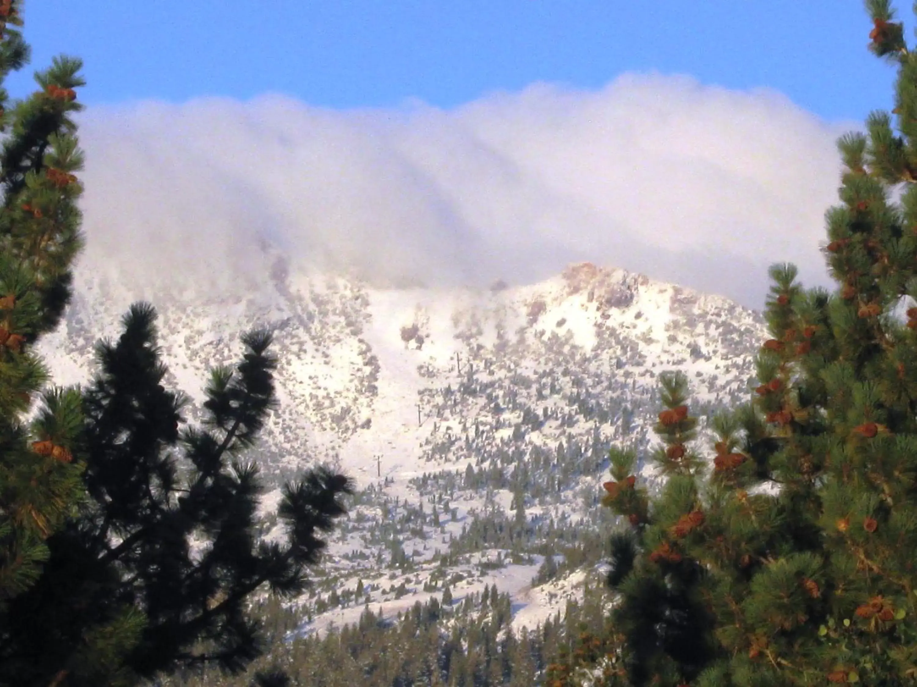 Winter, Mountain View in The Mammoth Creek Inn