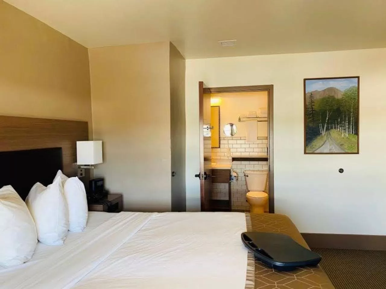 Bed in Historic Hotel Arvon