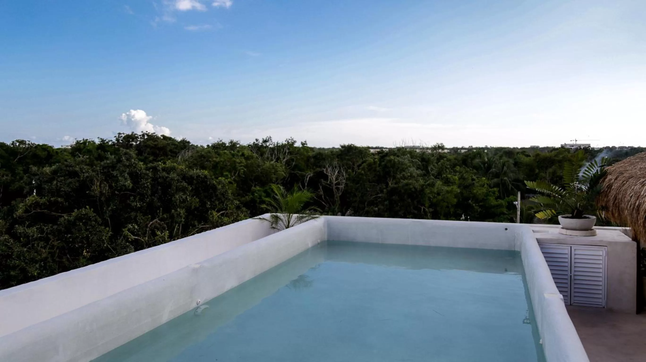Pool view, Swimming Pool in Caliza Tulum Hotel