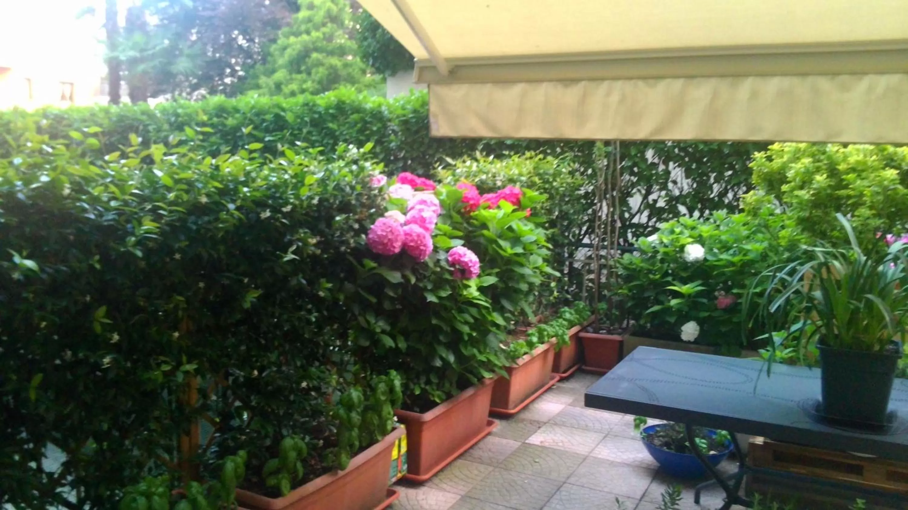 Patio in Smart House Rental Rooms FREE PARKING