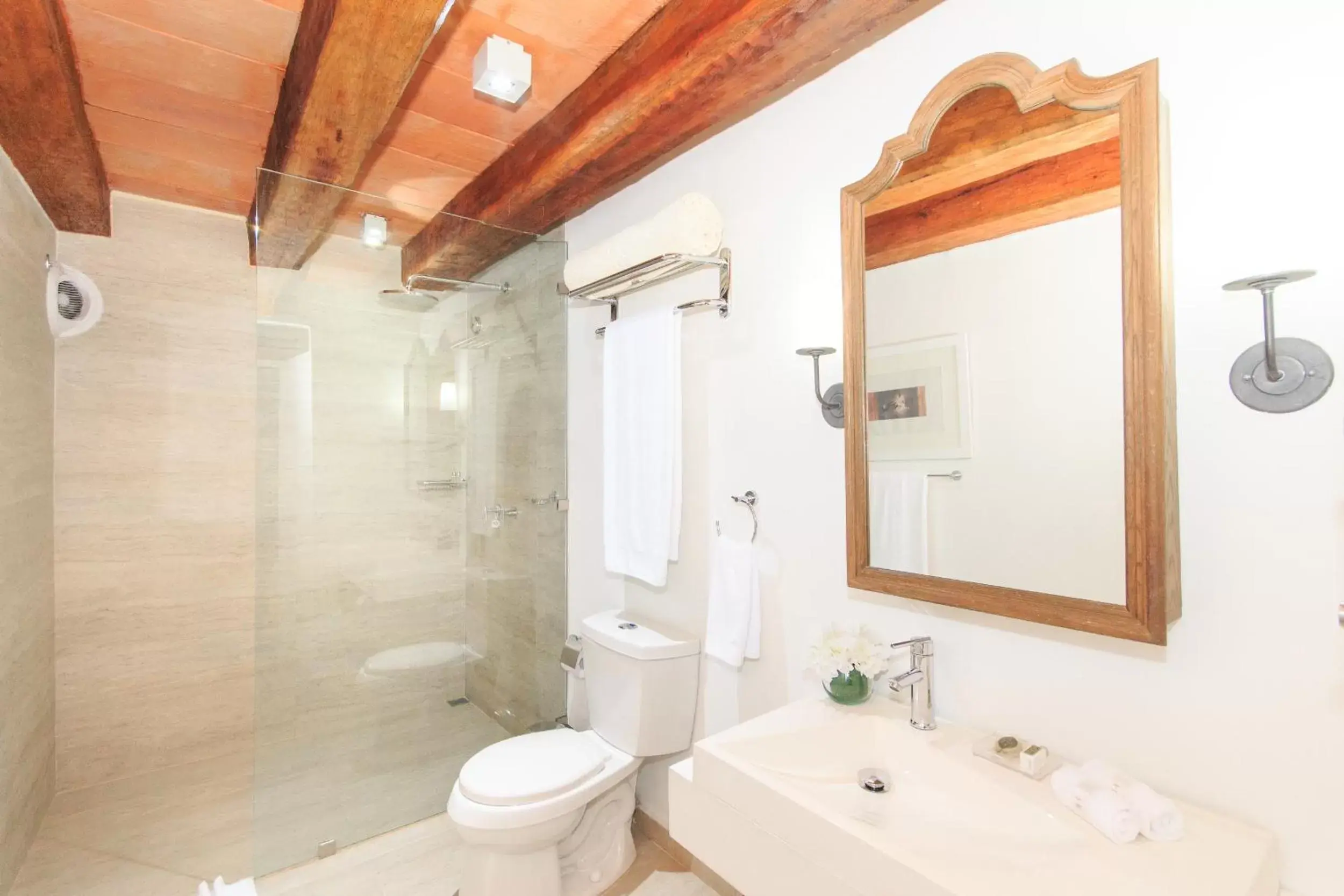 Property building, Bathroom in Hotel Boutique Casa del Coliseo