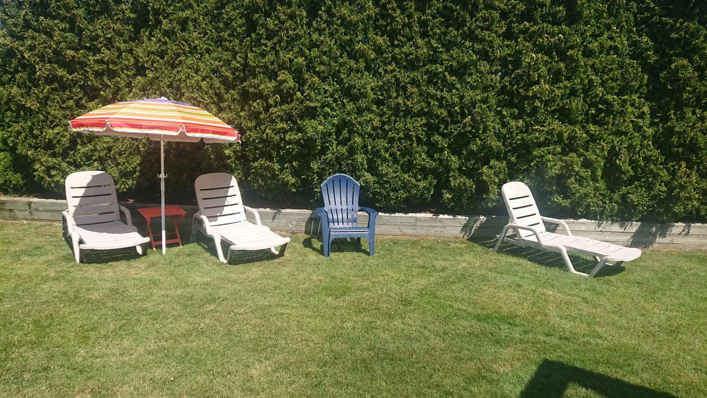 Inner courtyard view, Garden in Cocusa Motel