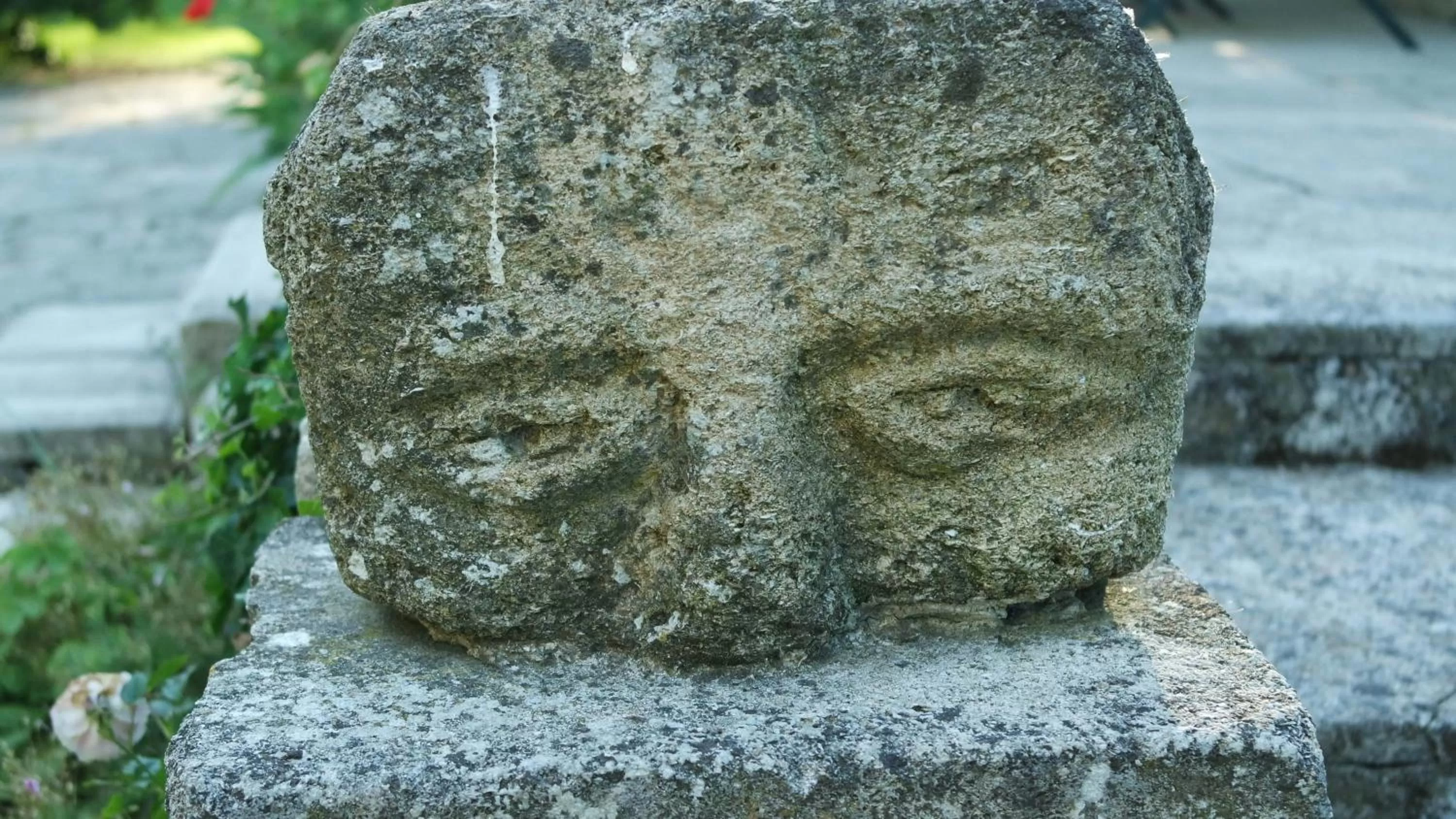 Garden in Mas Grimaud - Gîte- Studio et chambres d'hôtes familiales