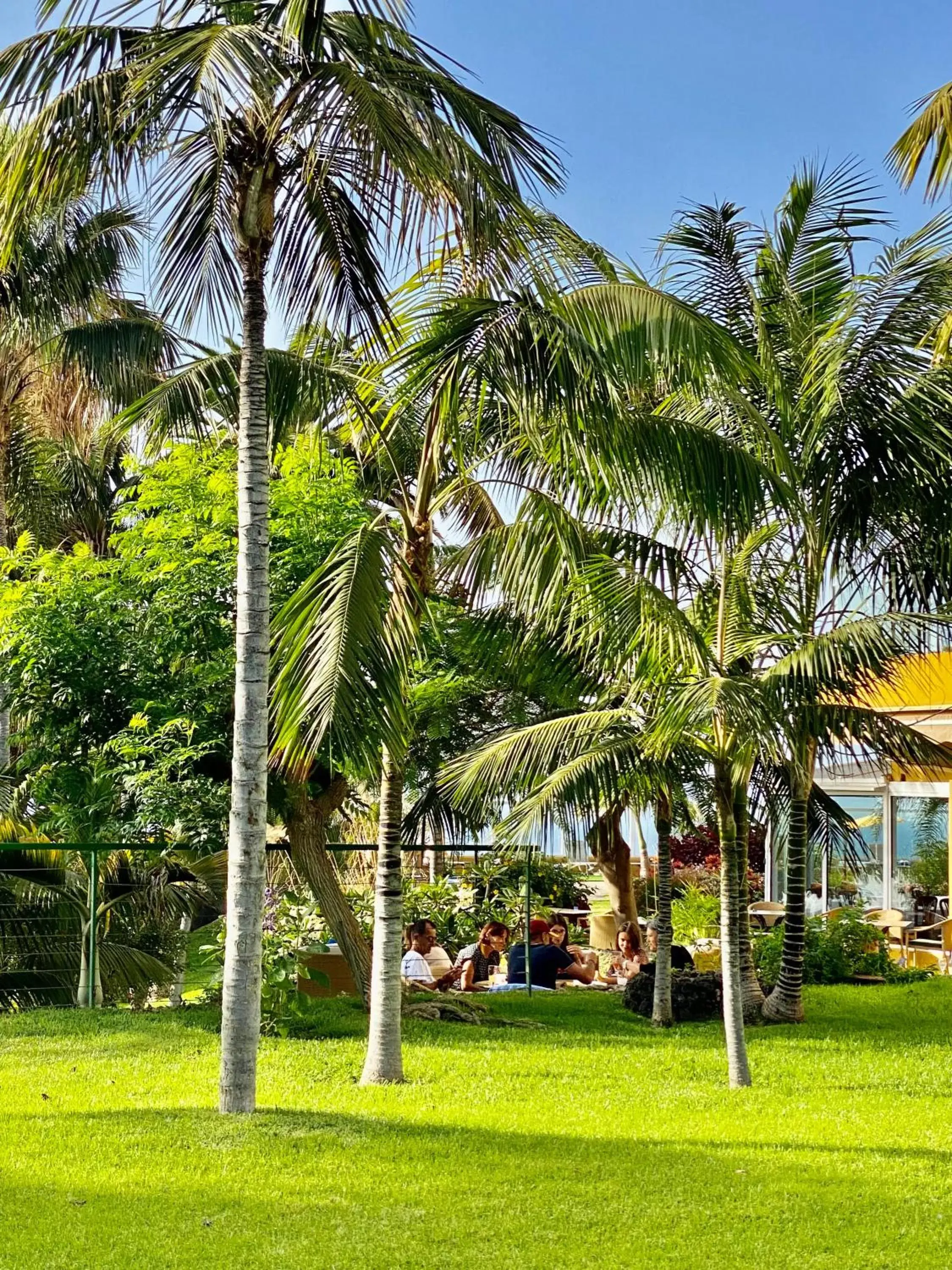 Garden in Hotel Tigaiga