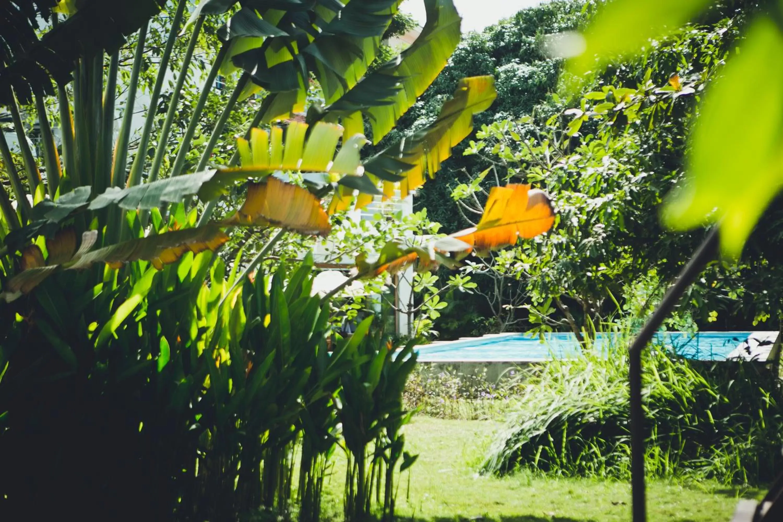 Garden in iRoHa Garden Hotel & Resort