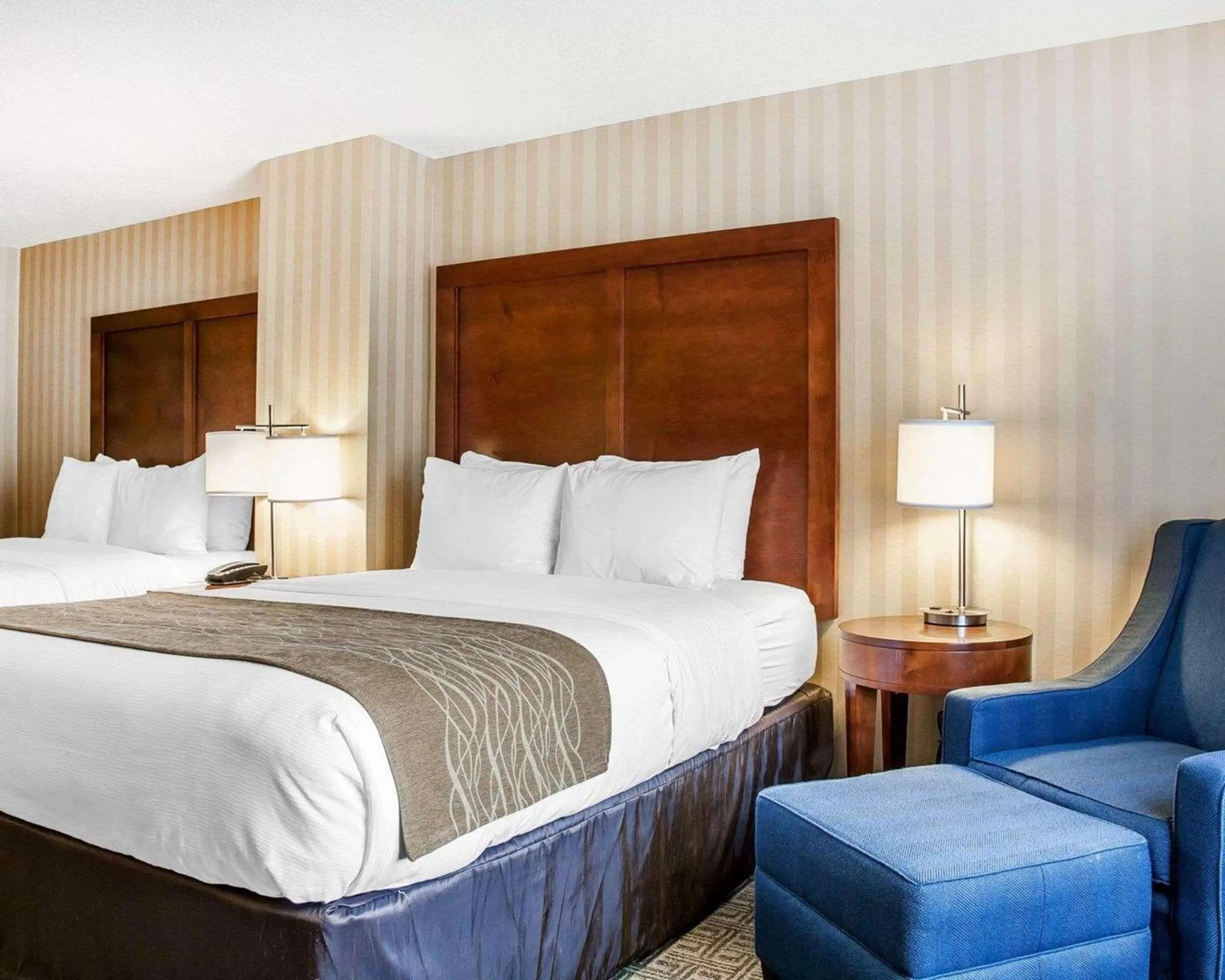 Photo of the whole room, Bed in Comfort Inn & Suites Sturbridge-Brimfield