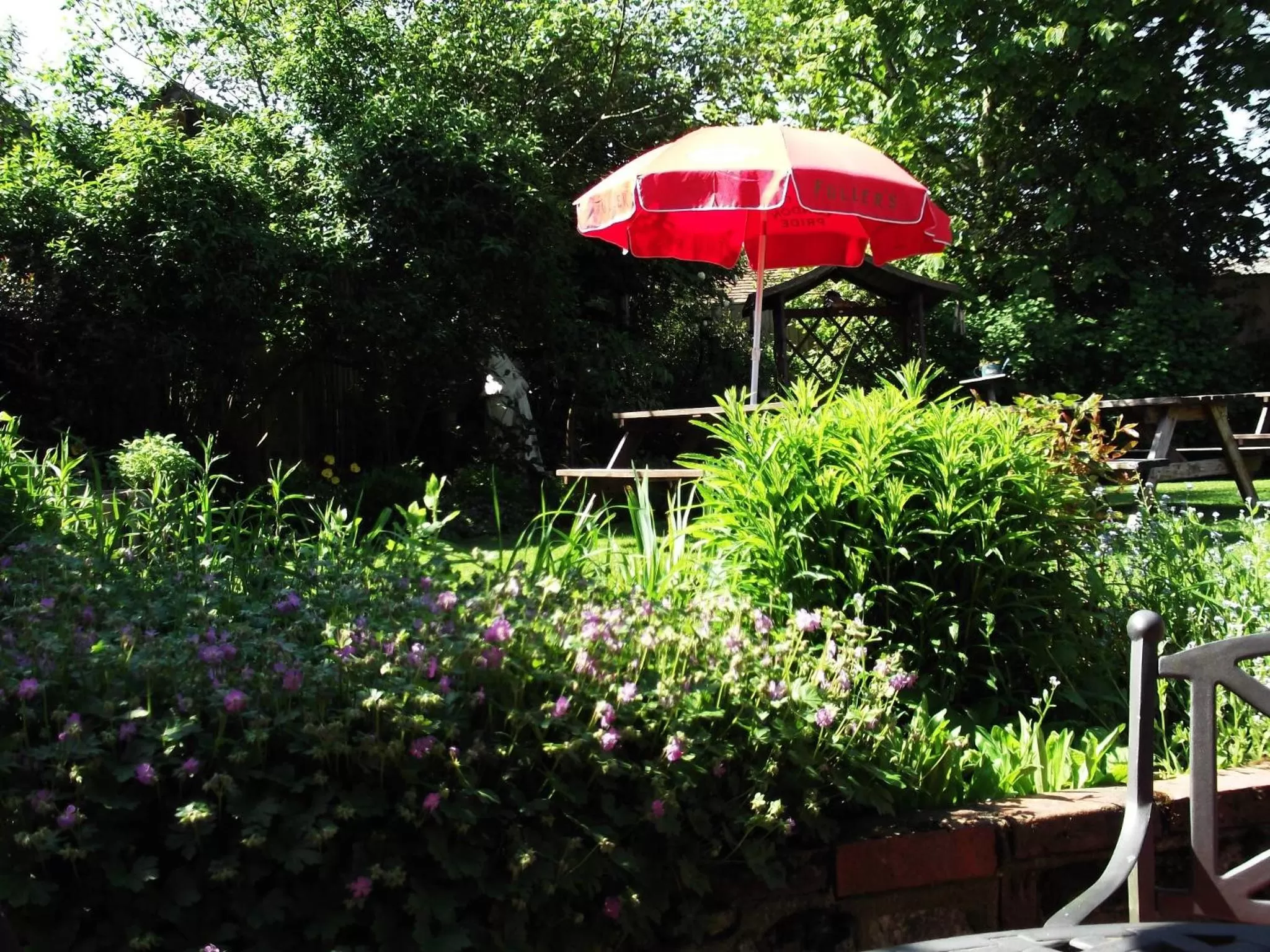 Day in The Three Horseshoes East Worldham