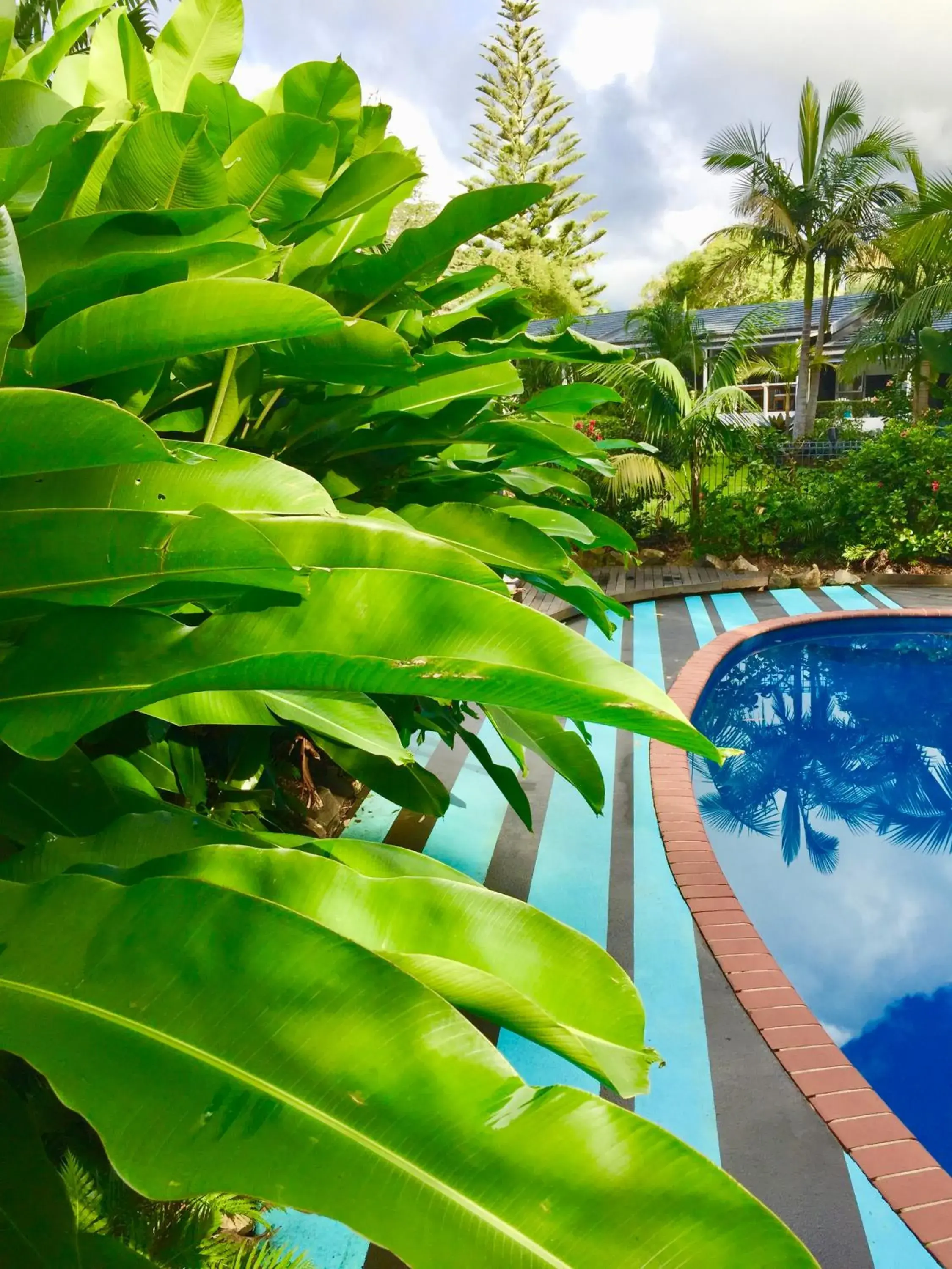 Summer, Swimming Pool in Stay Kerikeri