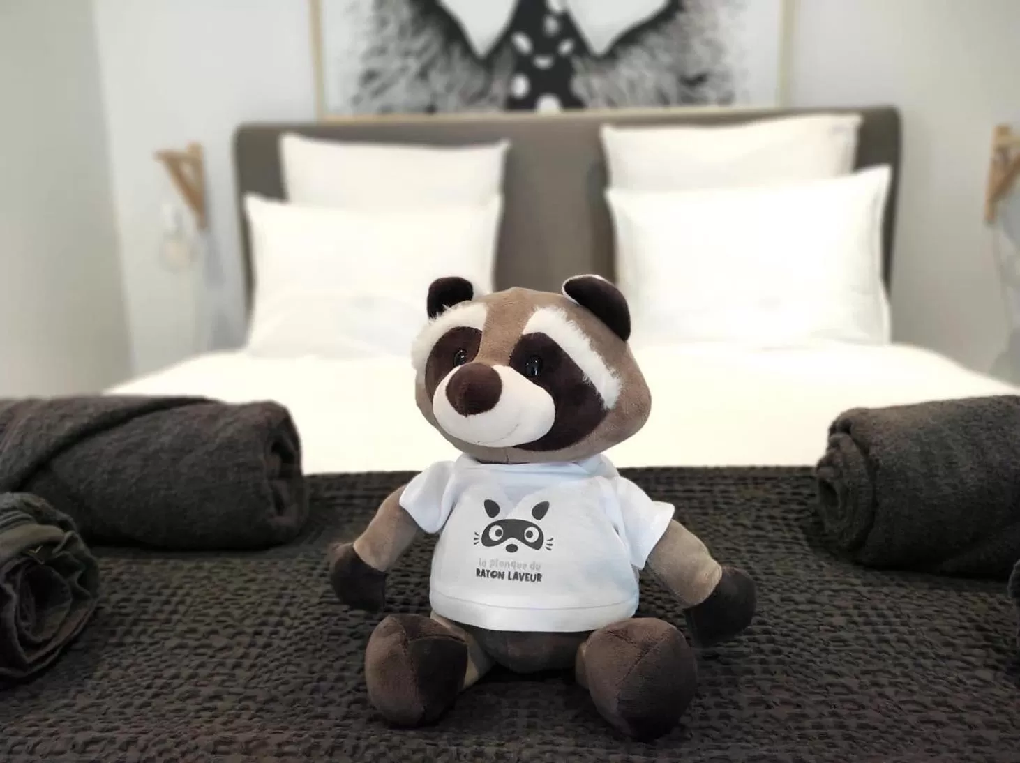 Bedroom, Bed in La planque du raton laveur