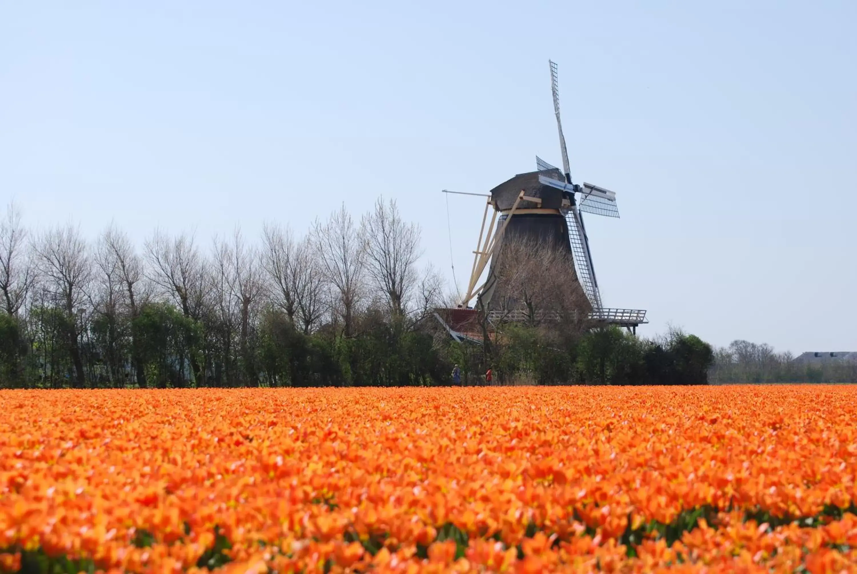 Neighbourhood in B&B Idylle aan Zee incl 2 Wellnessstudios