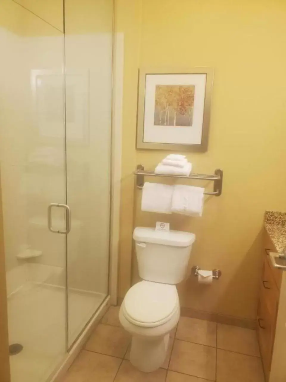 Bathroom in MainStay Suites Sidney - Medical Center