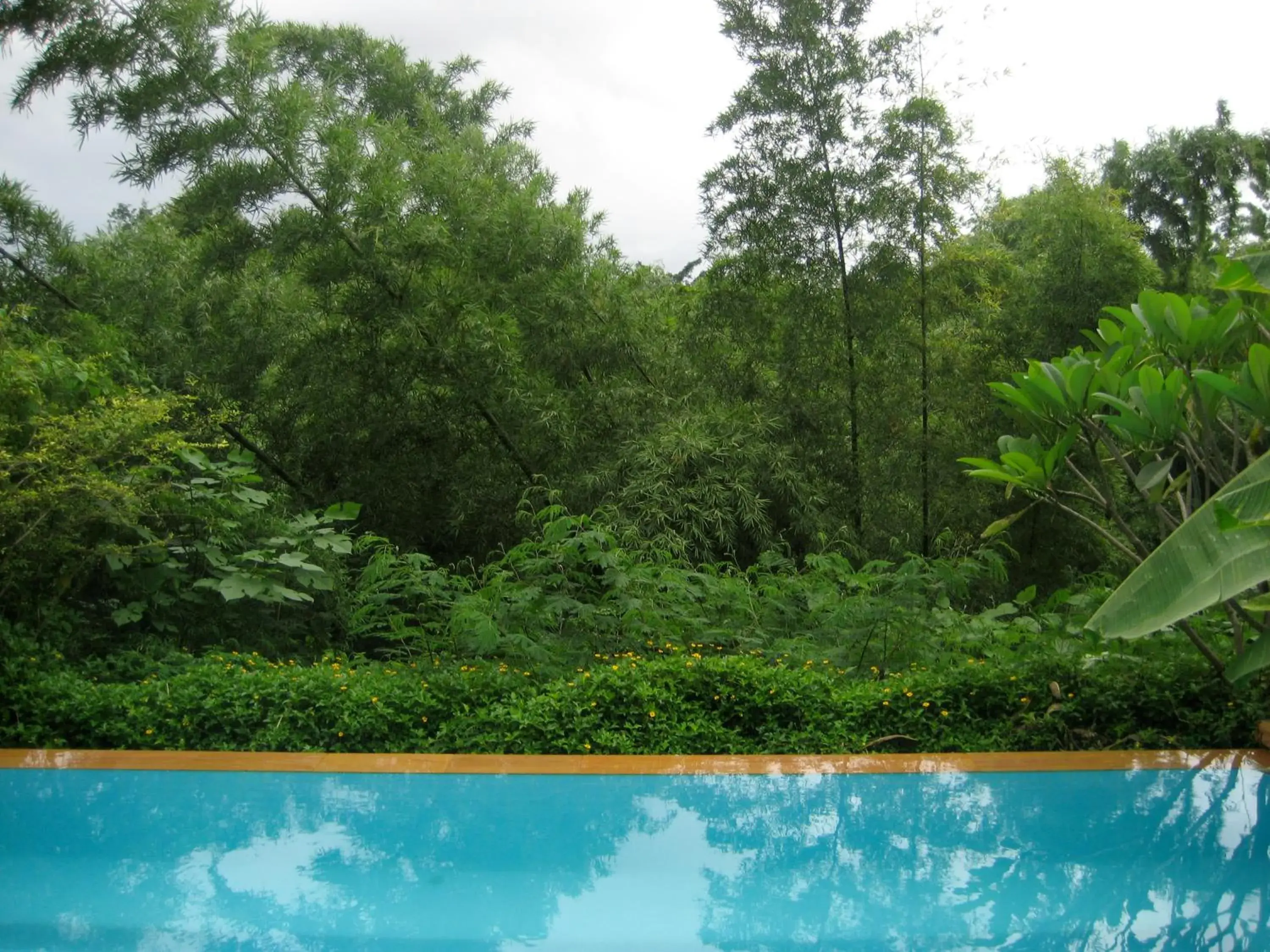 Natural landscape, Swimming Pool in Teakwood villa