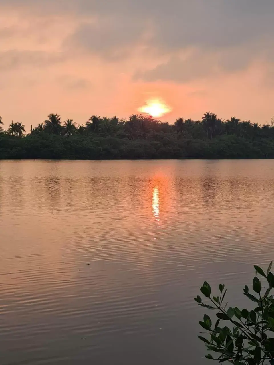 River view, Sunrise/Sunset in Isla Tajín