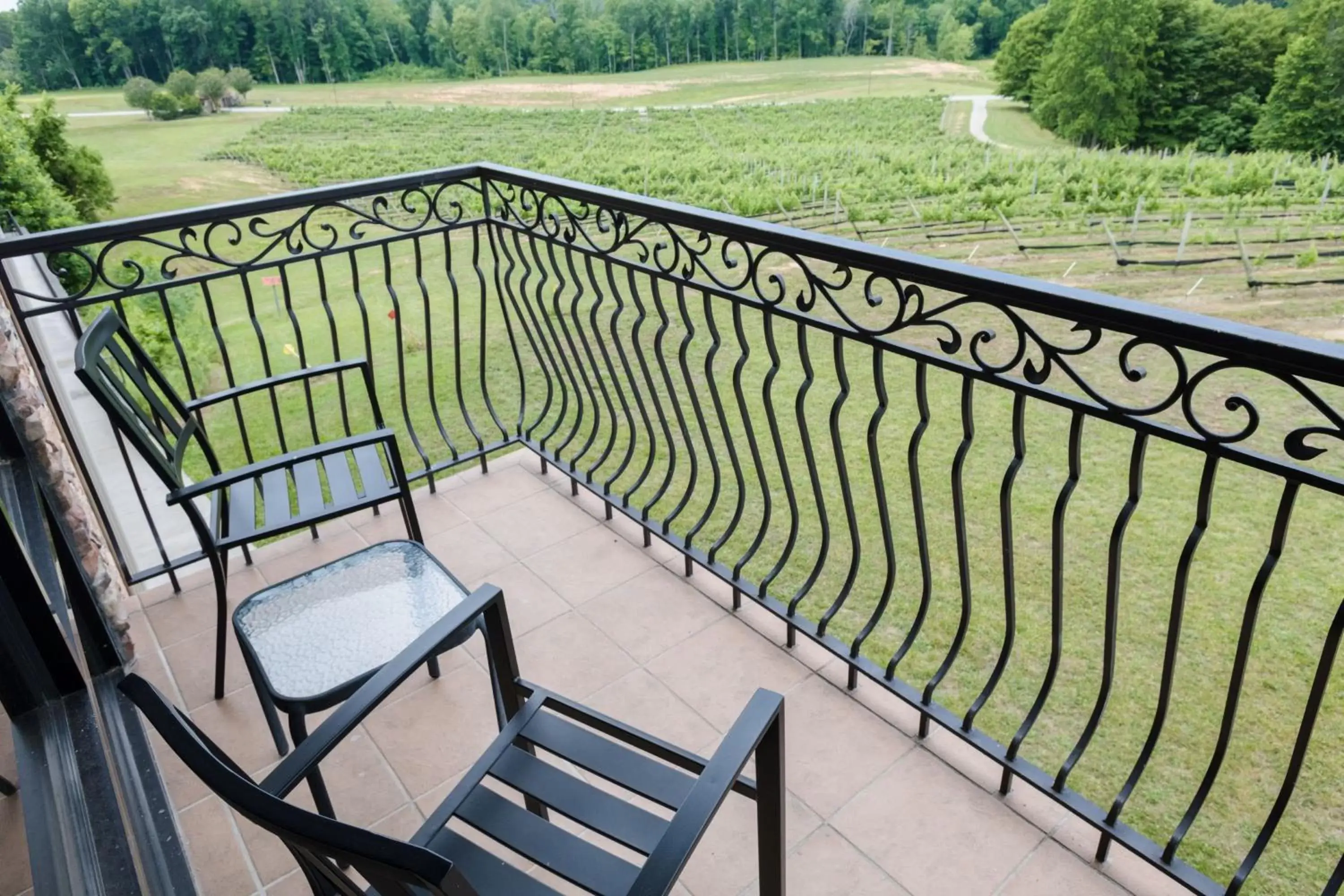 Photo of the whole room, Balcony/Terrace in Holiday Inn Express & Suites Lexington North West-The Vineyard, an IHG Hotel