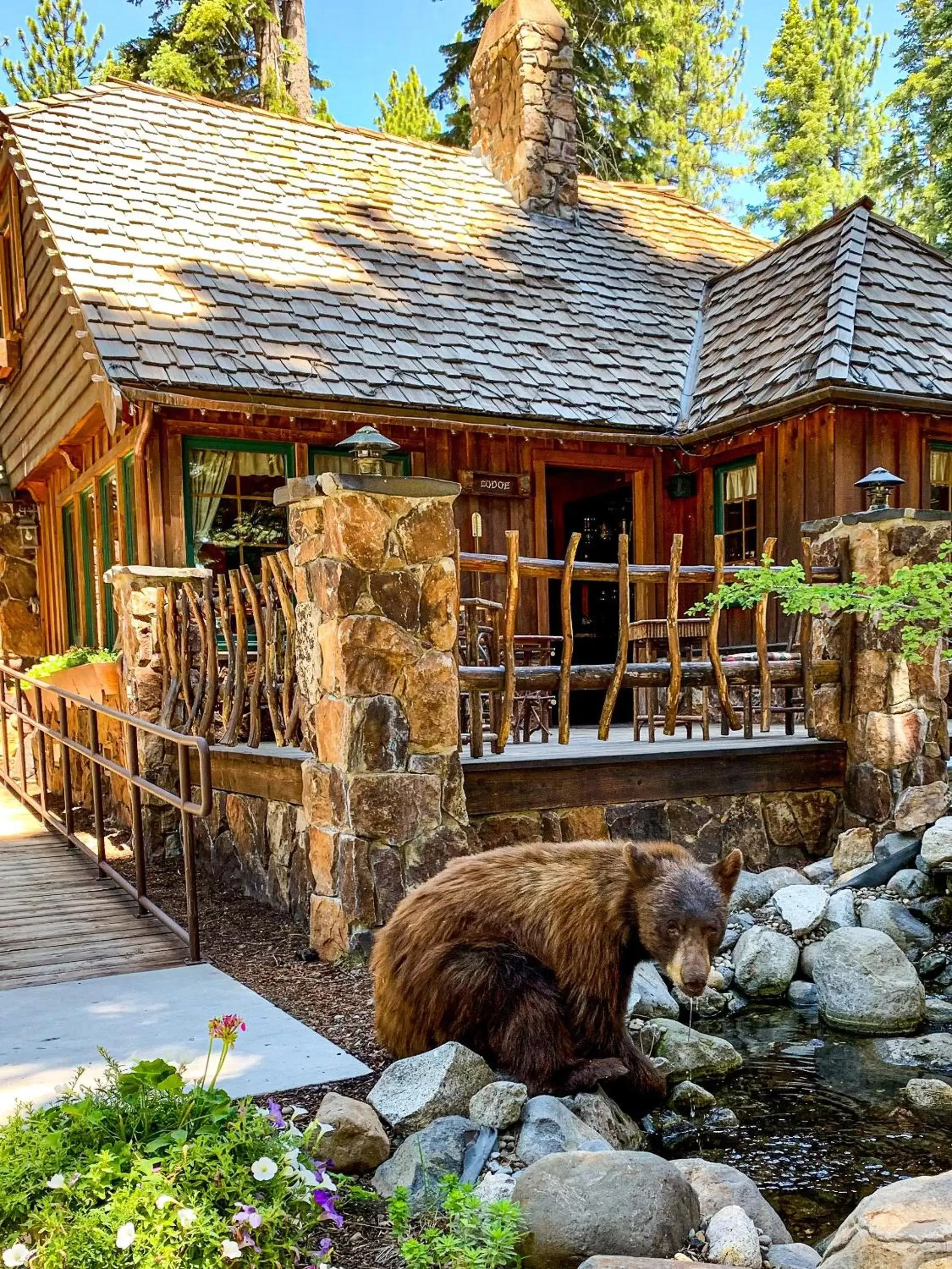 Property building, Other Animals in Cottage Inn At Lake Tahoe