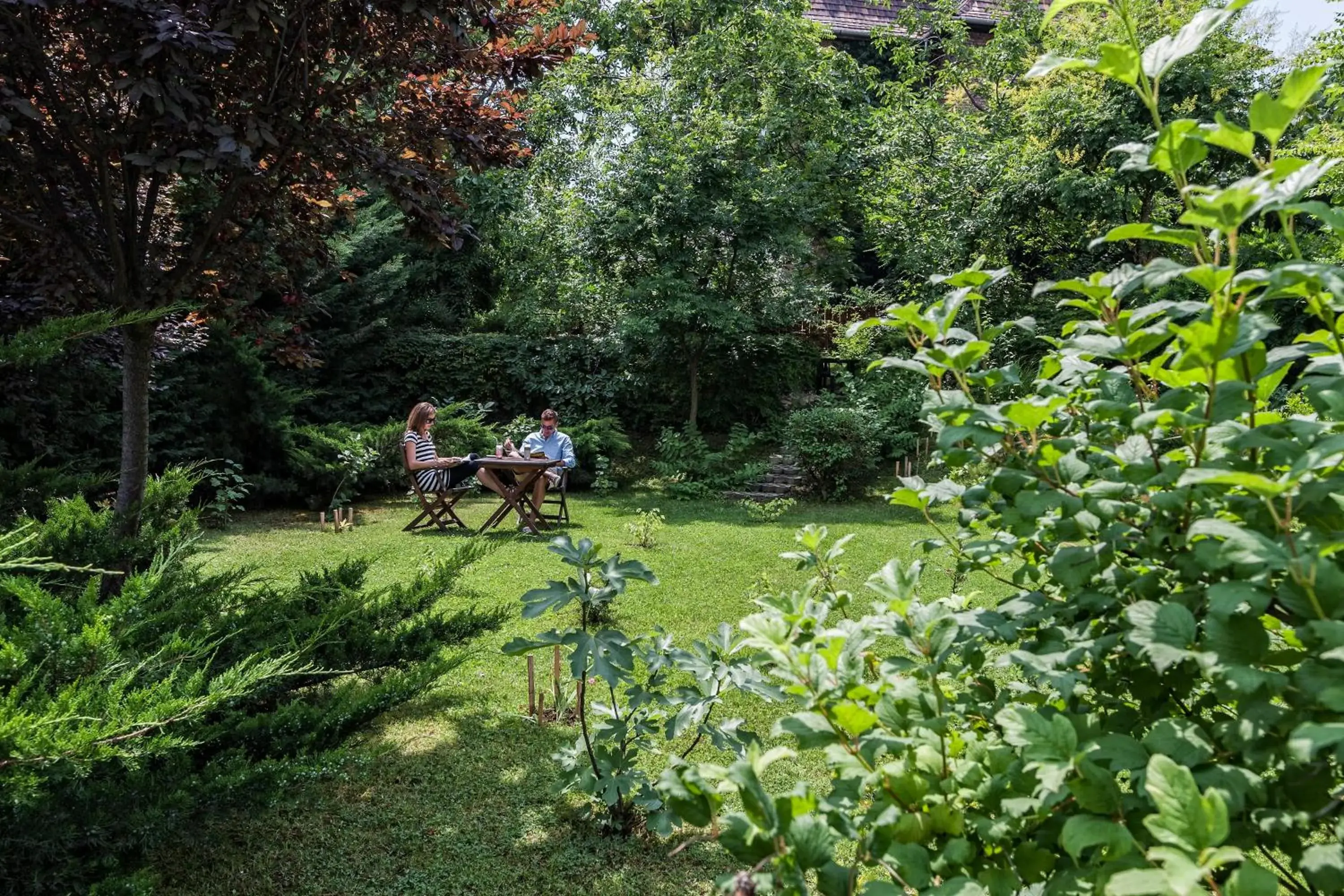 Garden in Jagelló Business Hotel