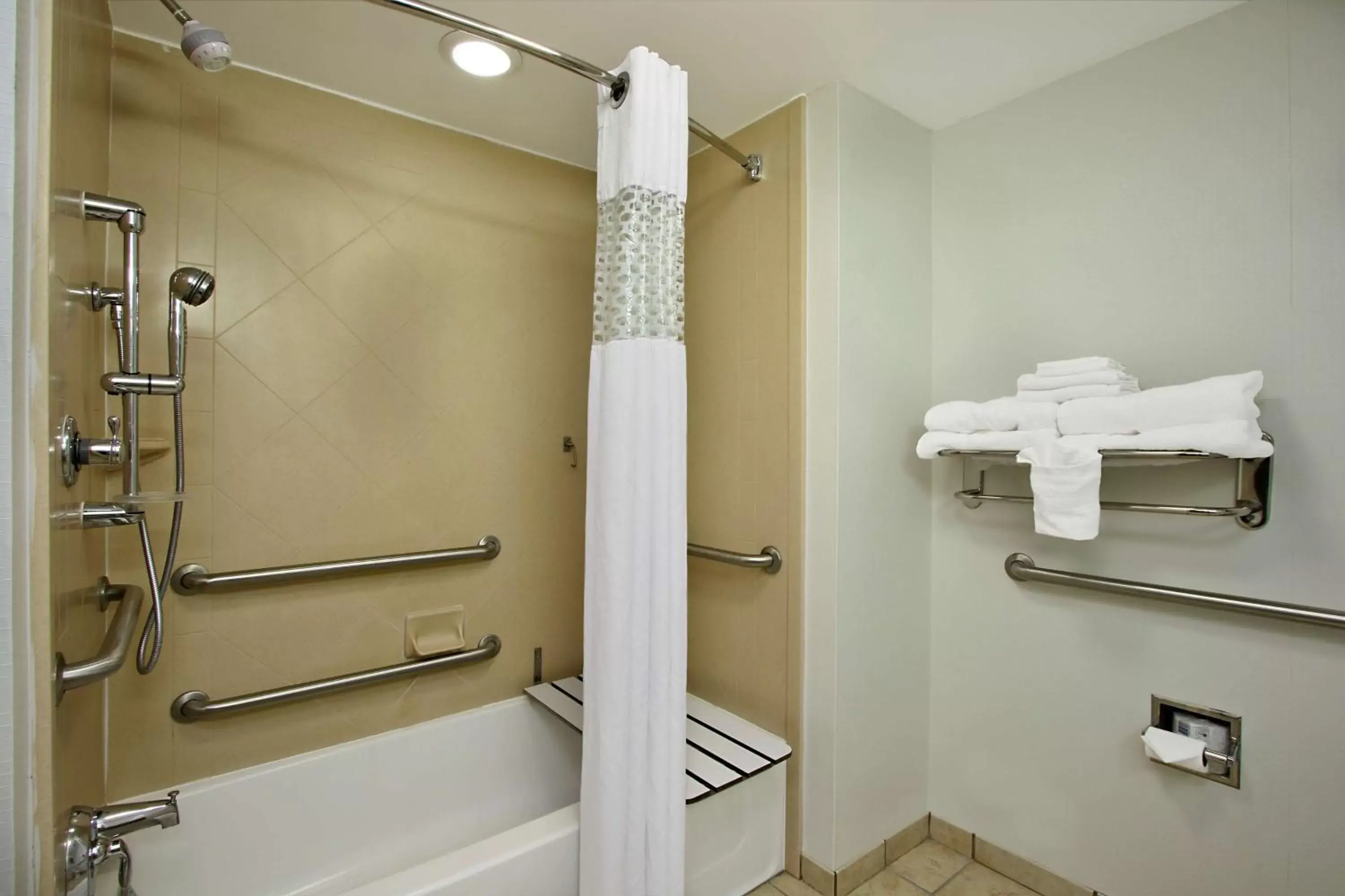 Bathroom in Hampton Inn & Suites-Florence Downtown