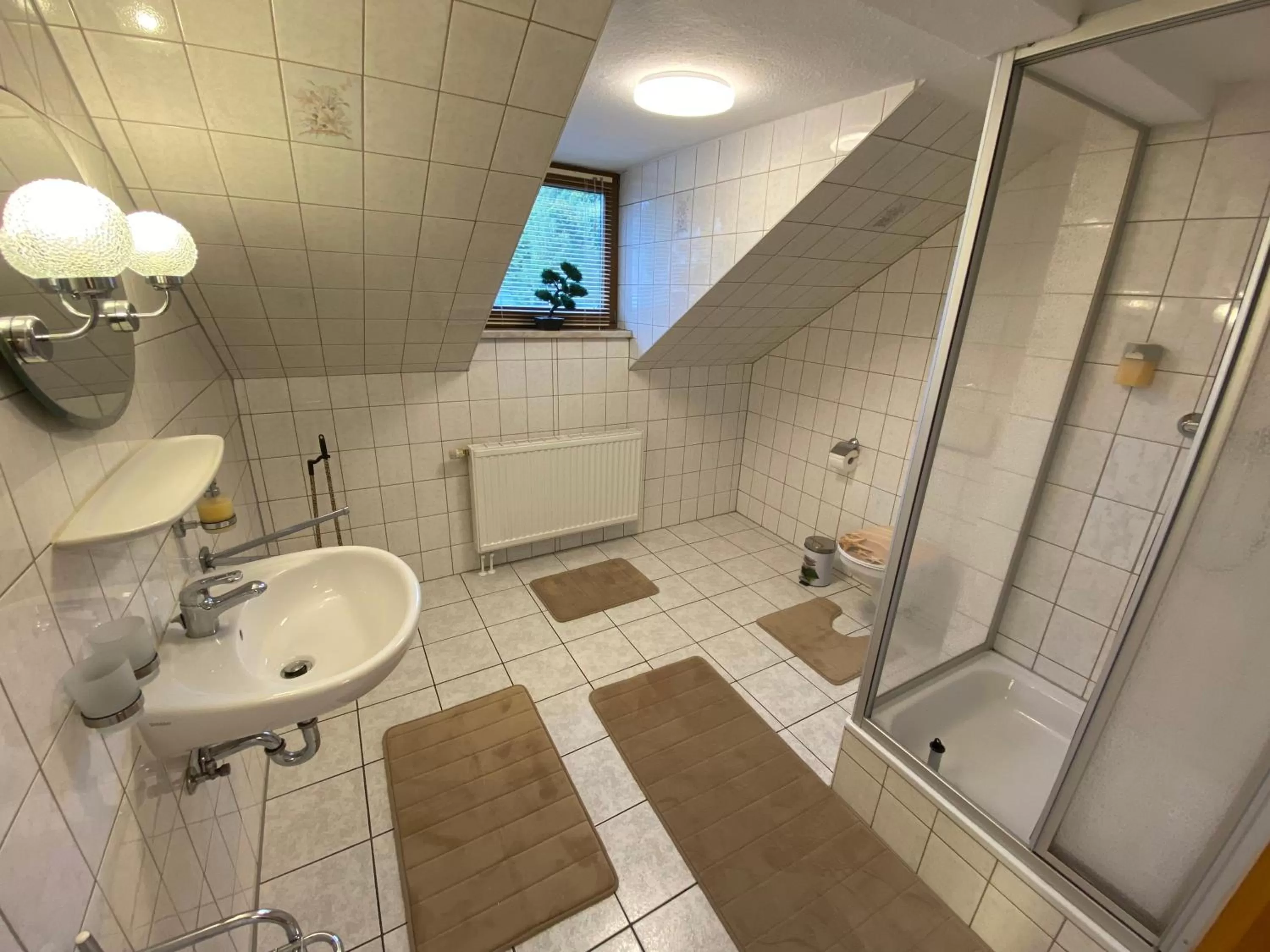 Shower in Hotel Bielatal