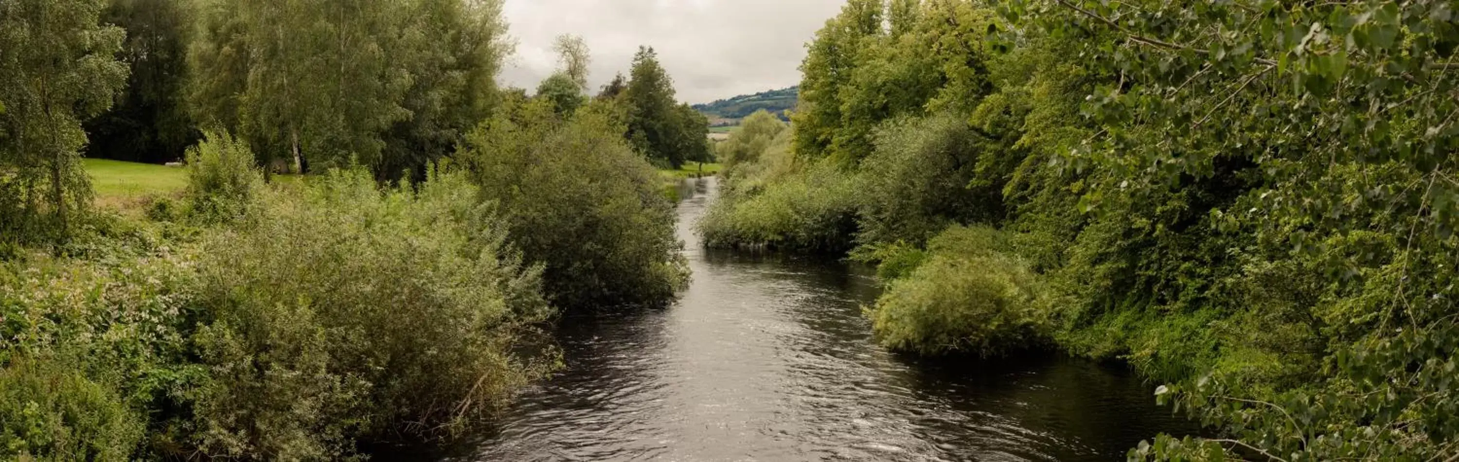 Natural Landscape in Woodford Dolmen Hotel Carlow