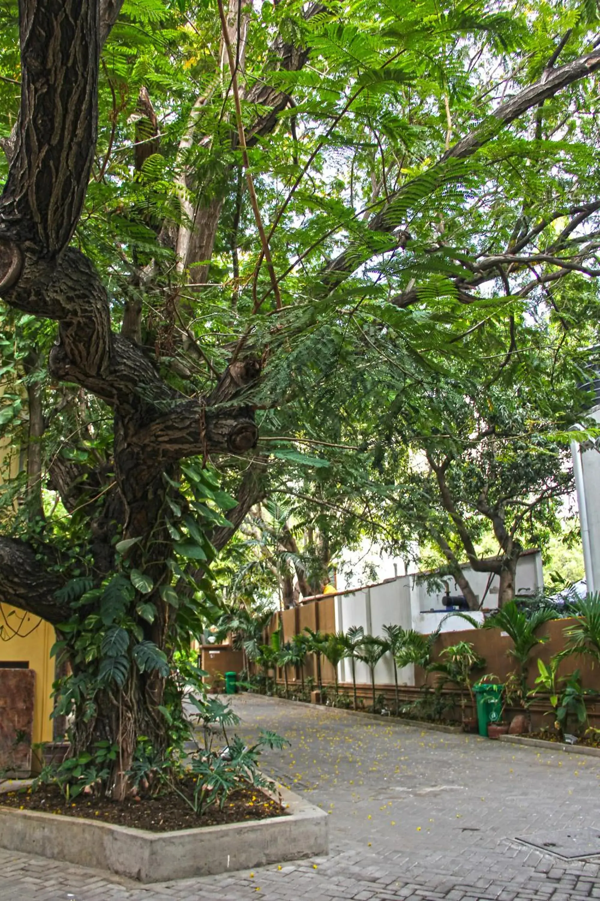 Facade/entrance, Property Building in Hanu Reddy Residences Poes Garden