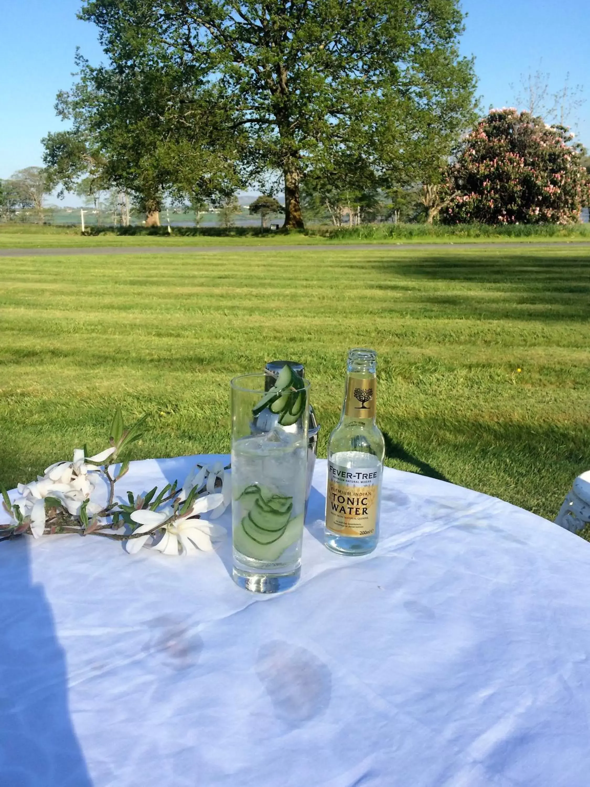 Garden in Castle Grove Country House Hotel