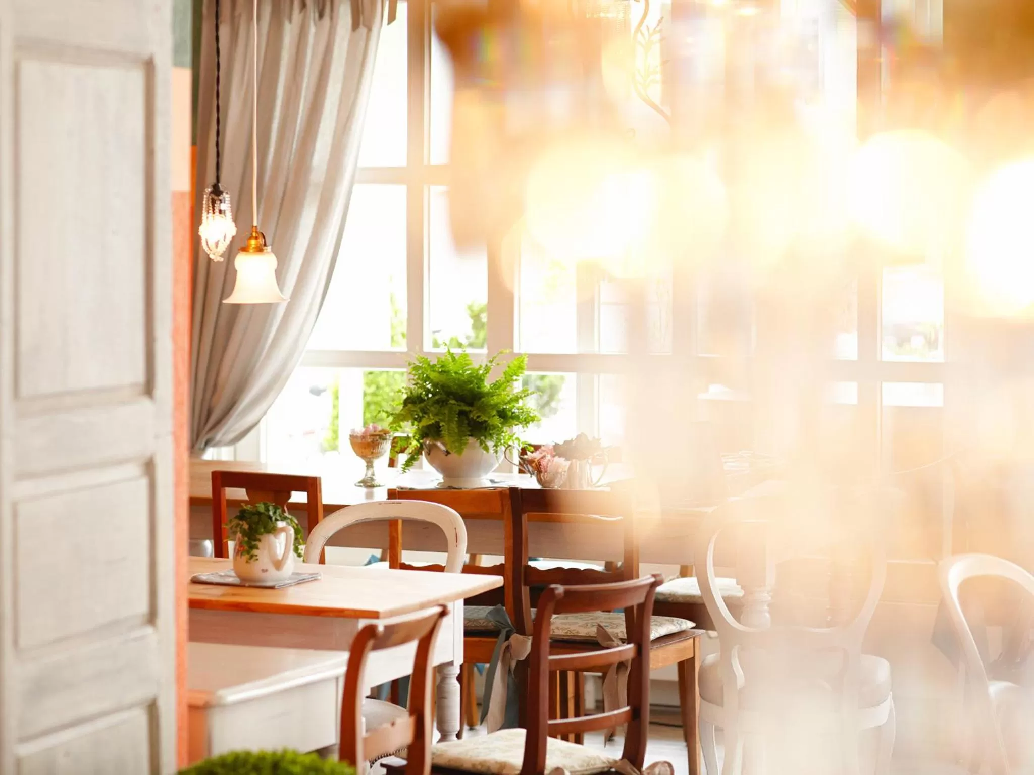 Restaurant/places to eat in Hotel & Restaurant zum Beck