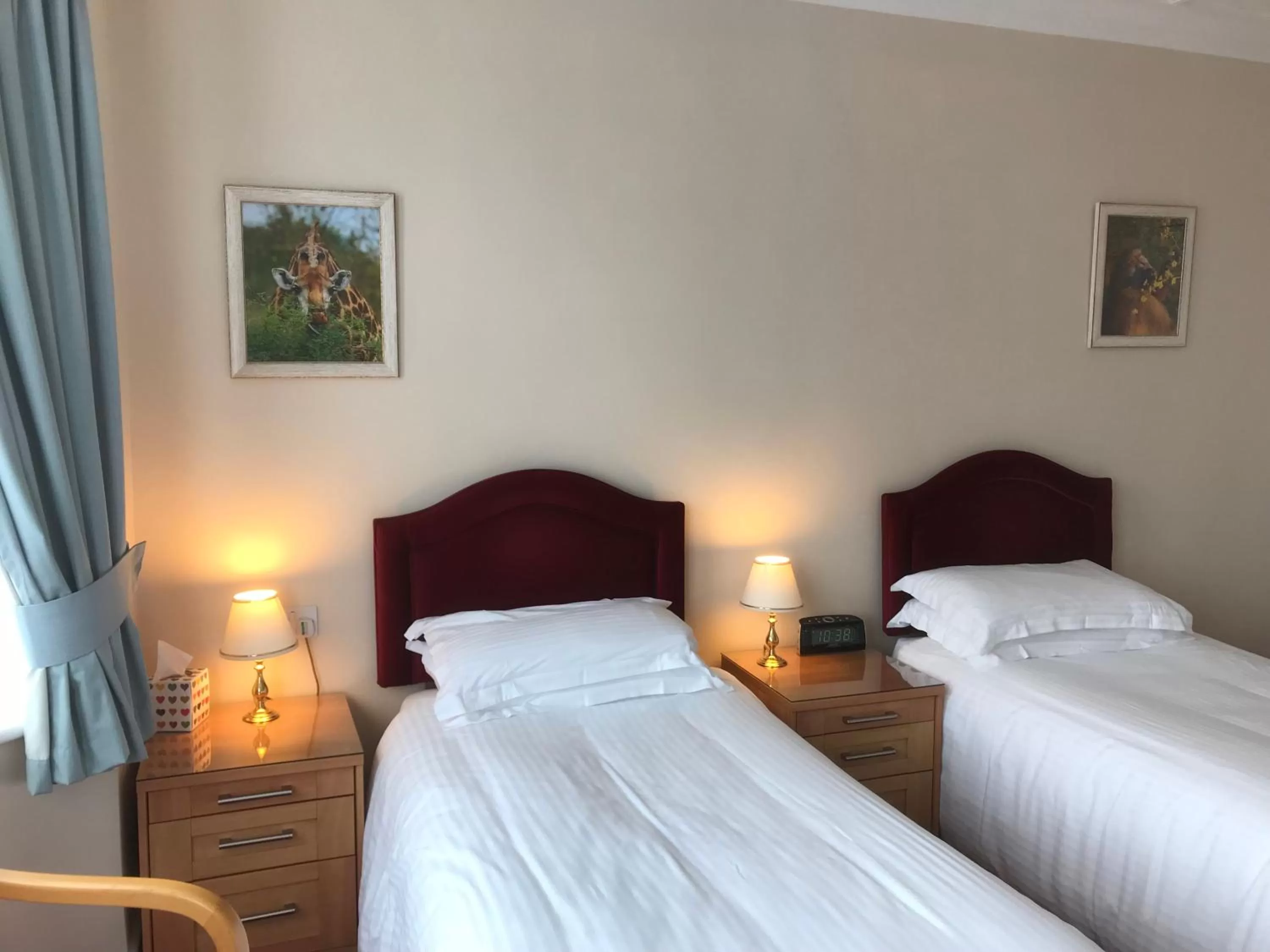 Small Twin Room - single occupancy in Merton House