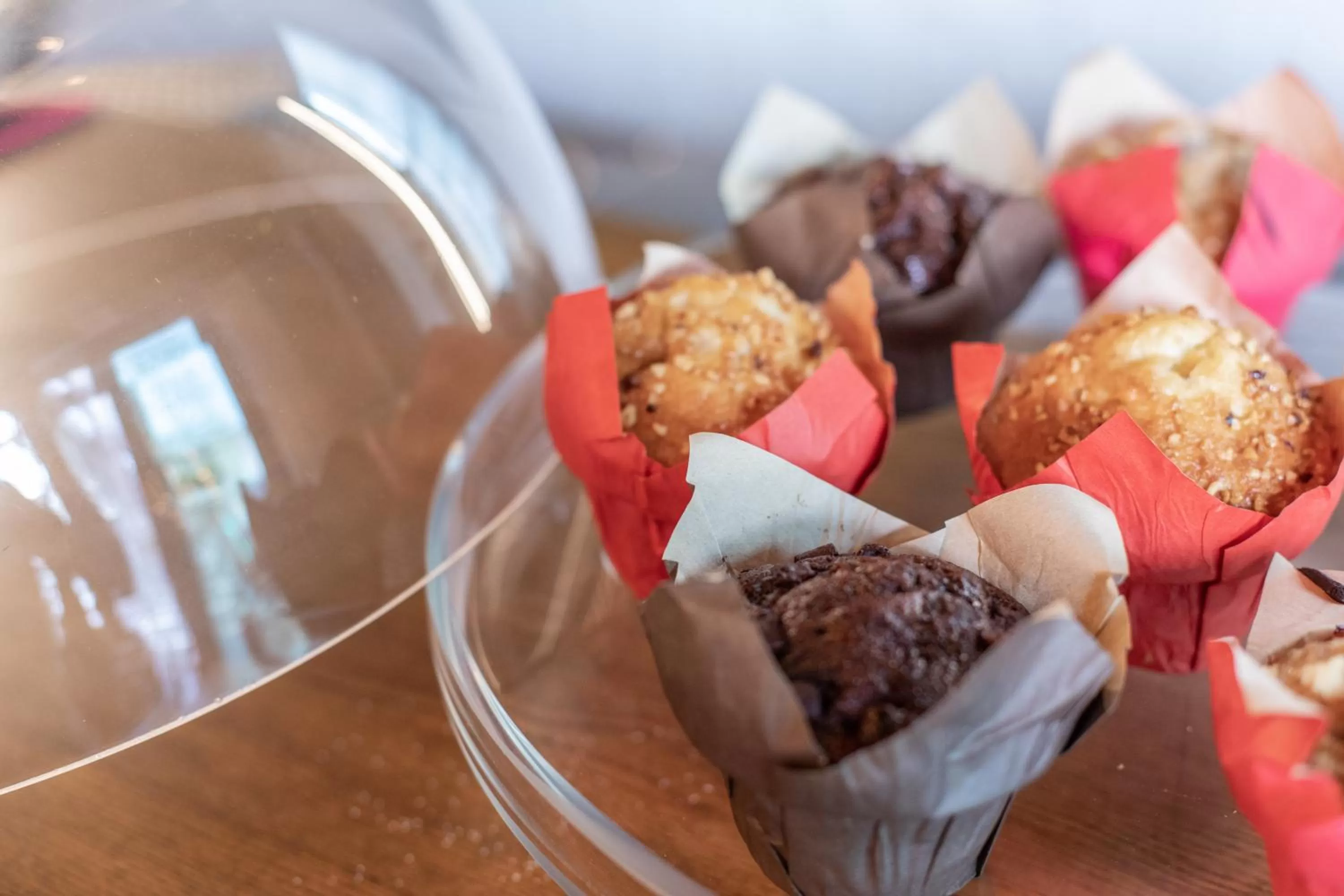 Meals in ibis Styles Lausanne Center MadHouse