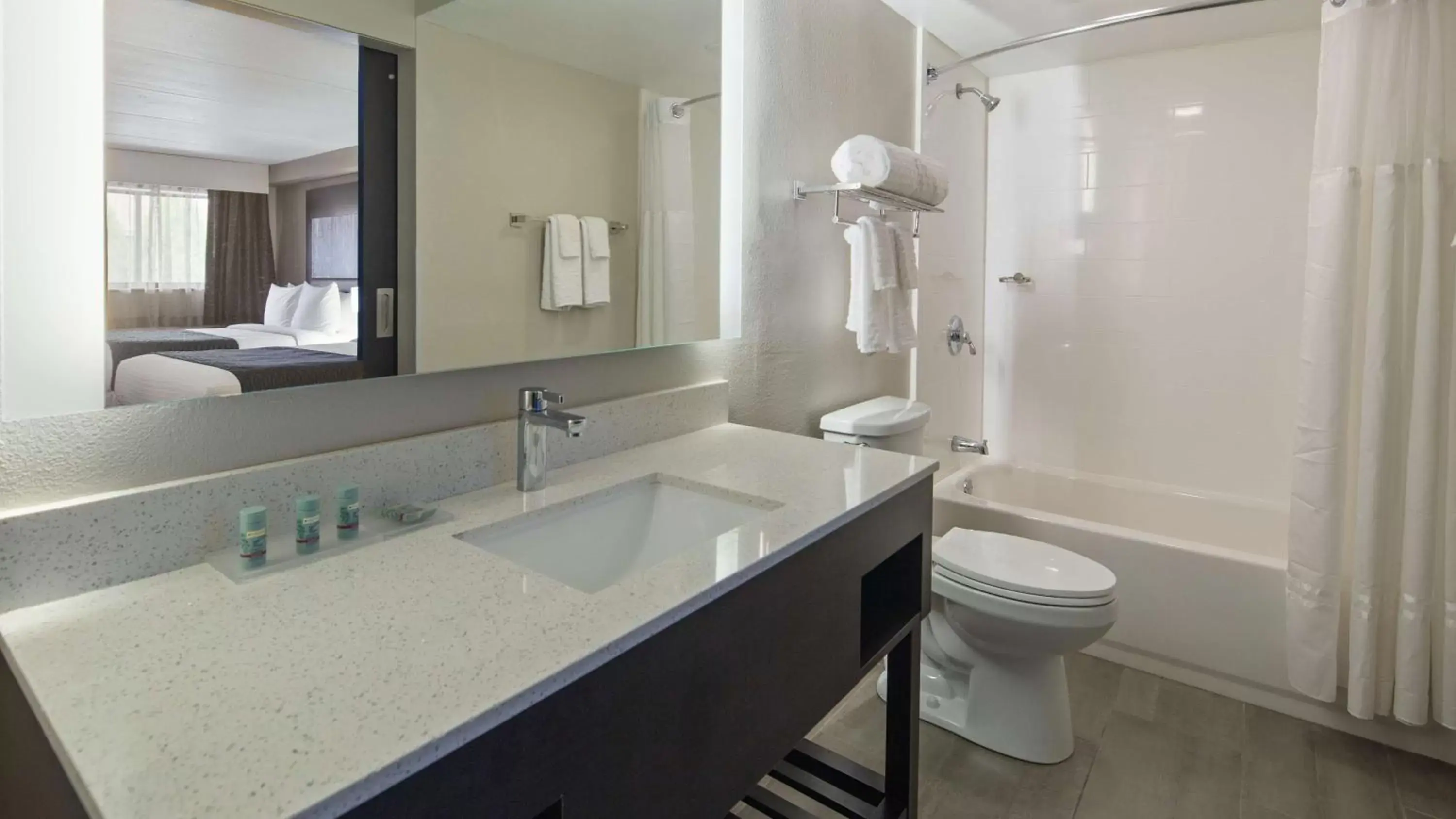 Bathroom in Best Western Atlanta-Marietta Ballpark Hotel