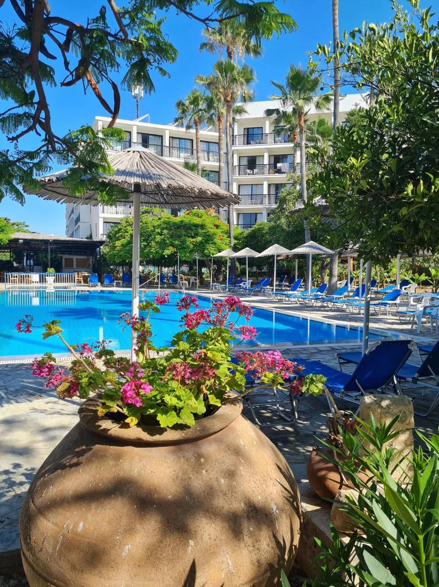 Garden in Veronica Hotel