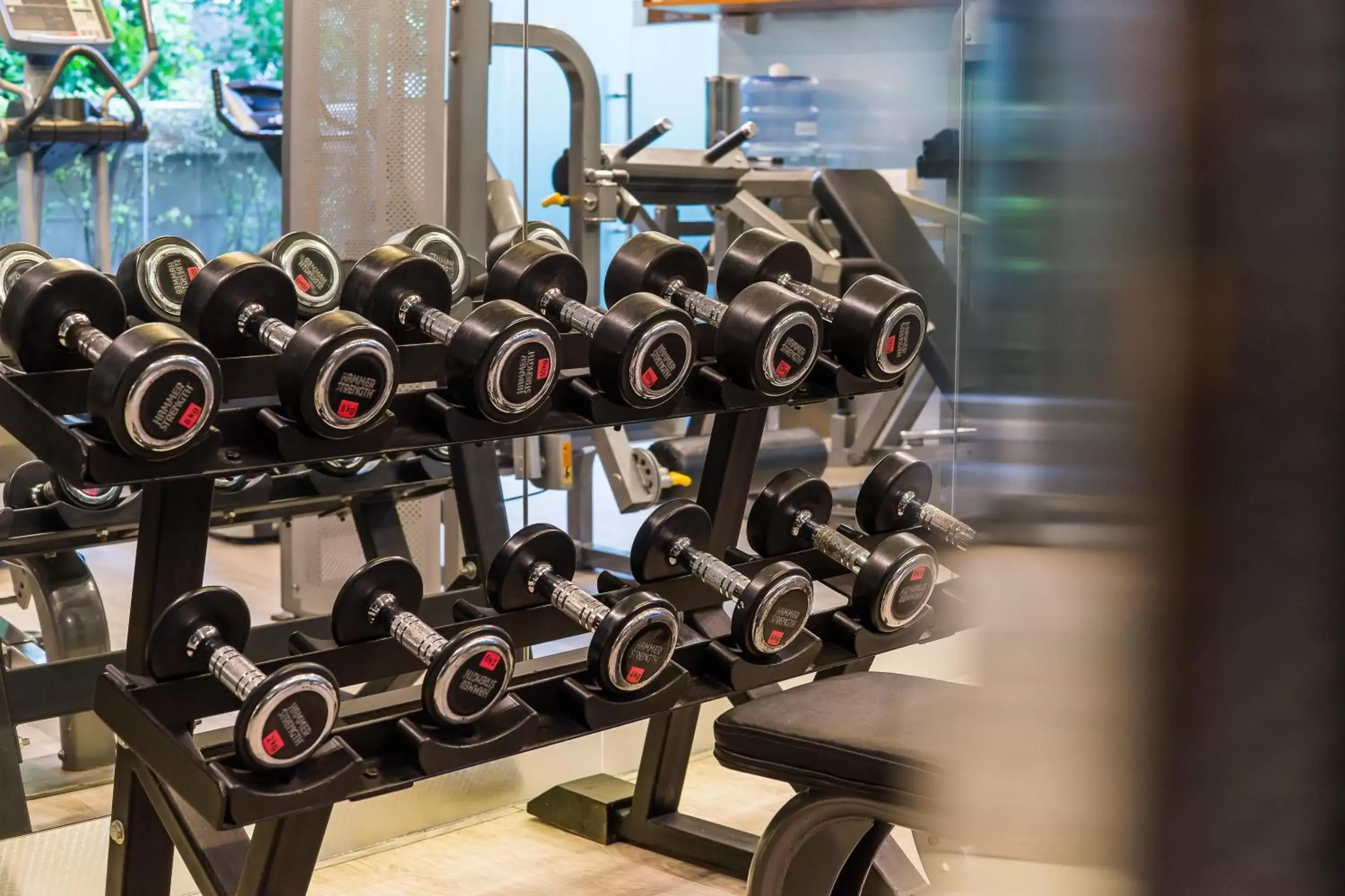 Fitness centre/facilities, Fitness Center/Facilities in Hotel Vista