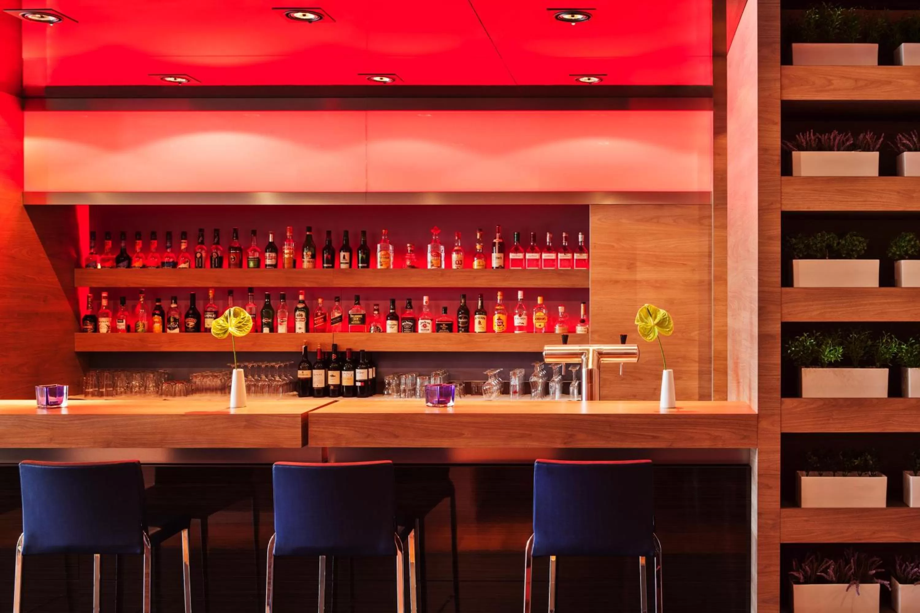Lounge or bar in IntercityHotel Mannheim
