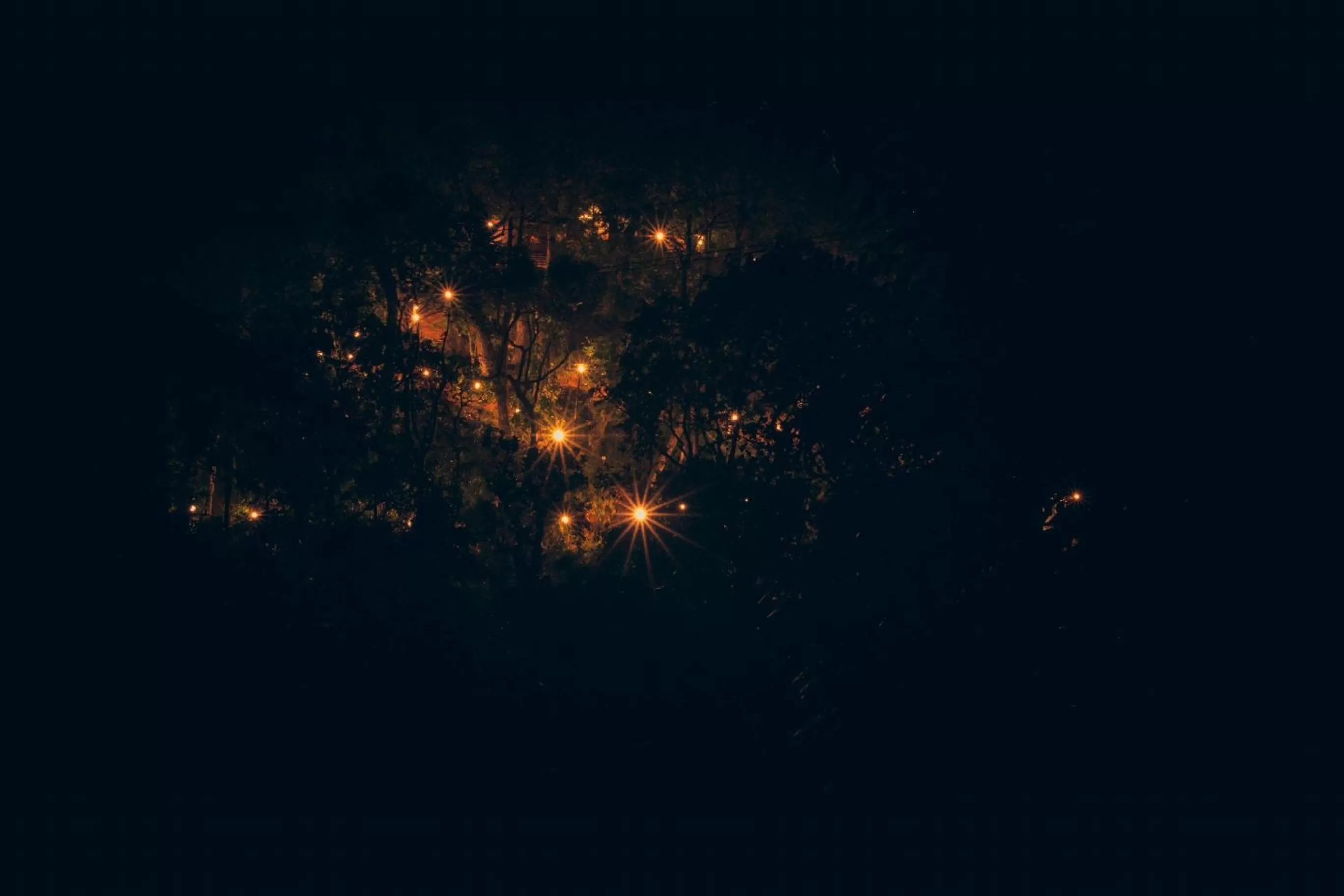 Bird's eye view in Ela Ecoland Nature Retreat