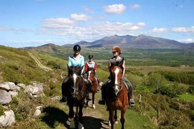 Activities, Horseback Riding in Tatler Jack