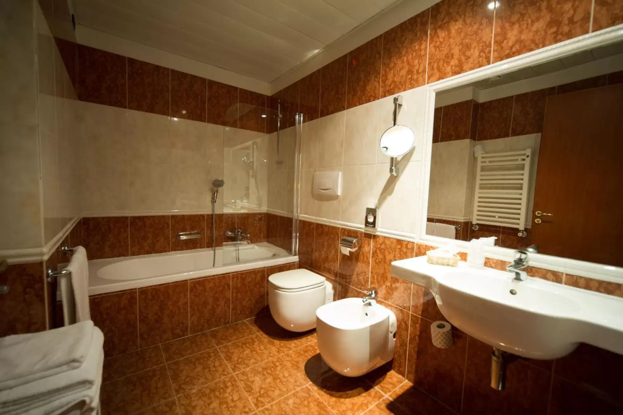 Bathroom in Hotel Aaron