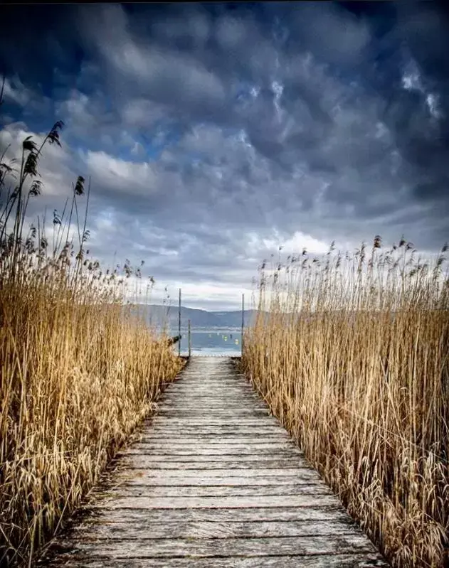 Beach in Les 3 Coeurs - Chambres chez charmants habitants