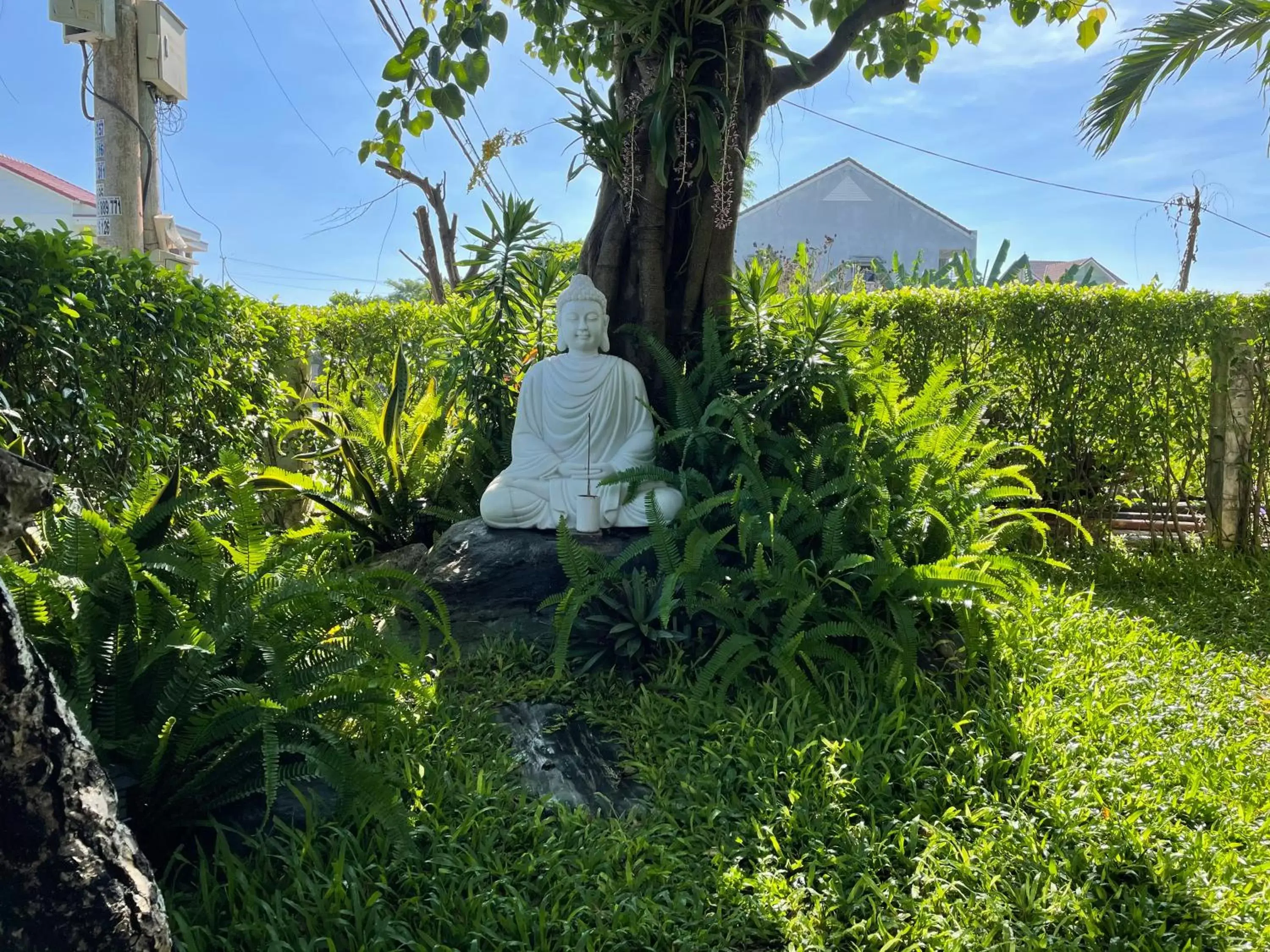 Garden in ZEN Boutique Hoi An