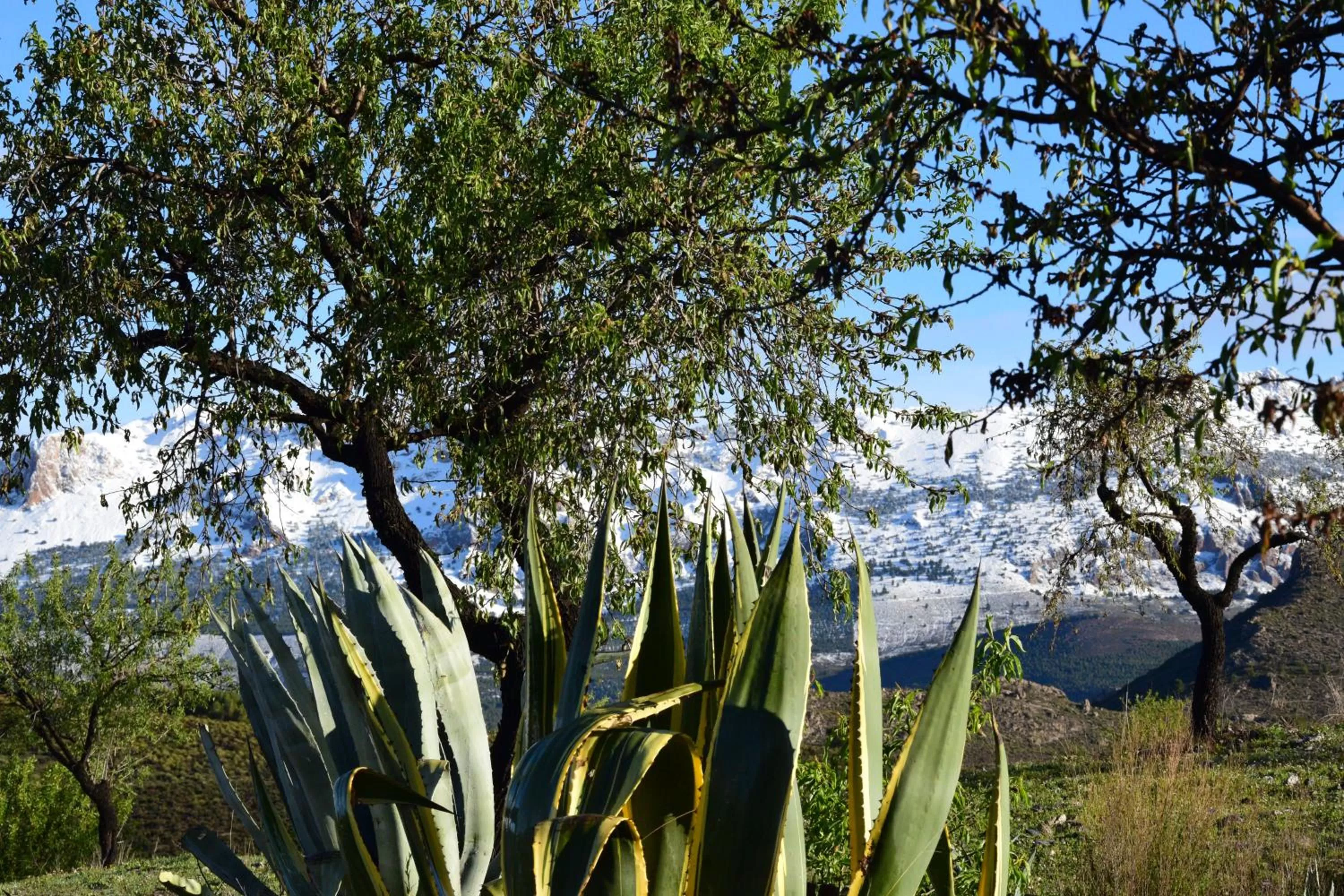 Casa Rural VILLA MELUSINE