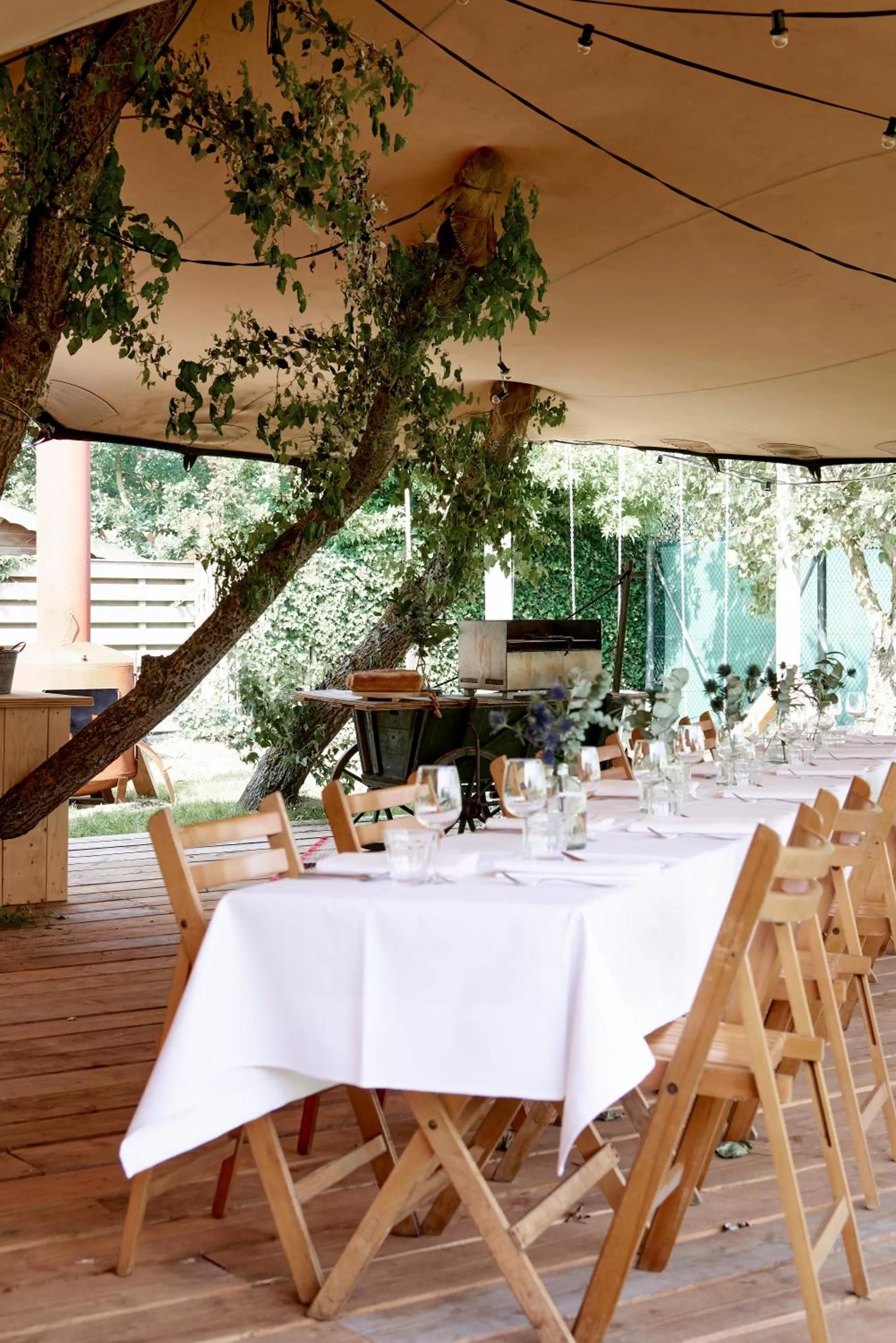 Spring in Hotel Zonne