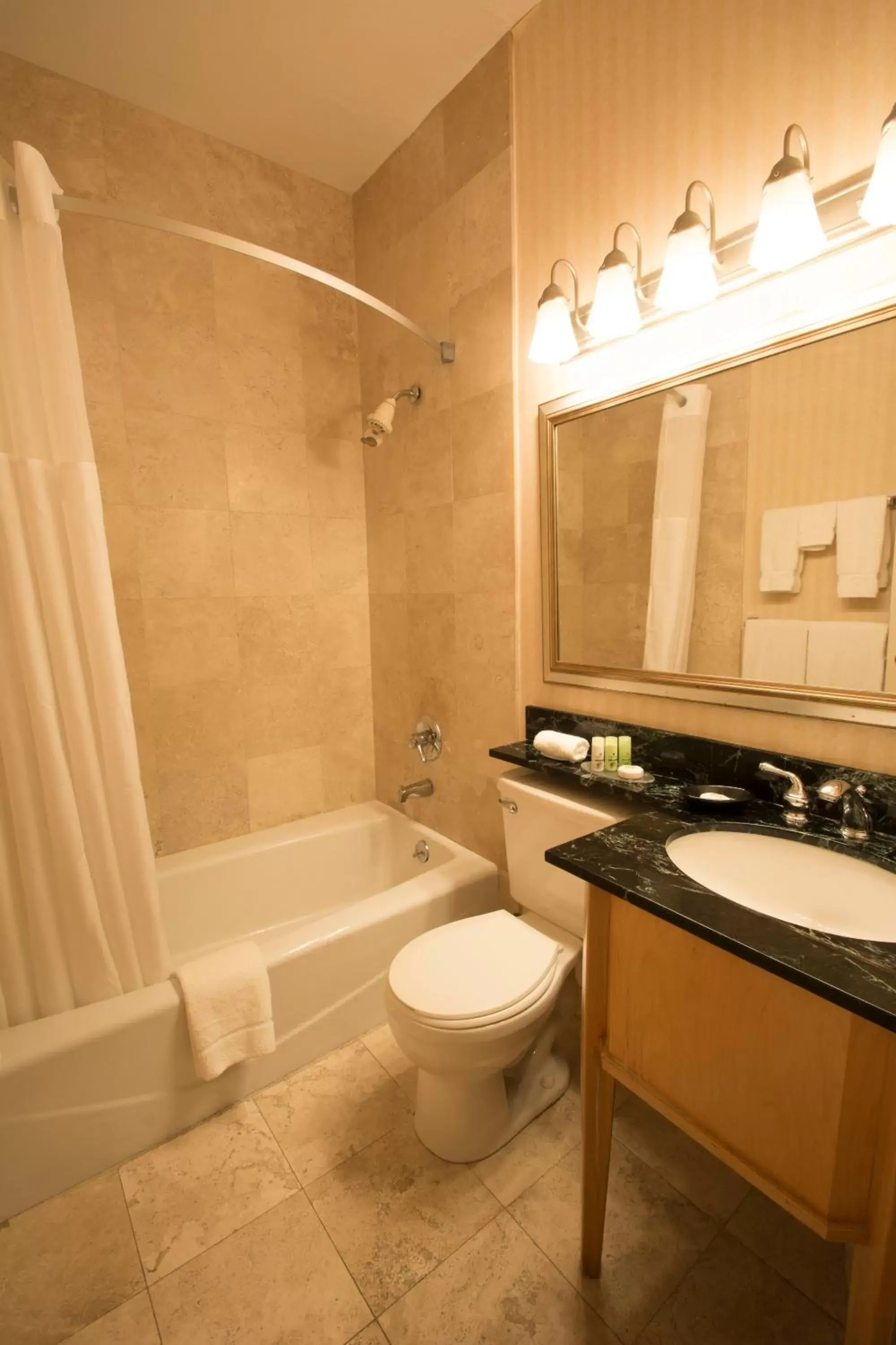 Bathroom in Adria Hotel and Conference Center