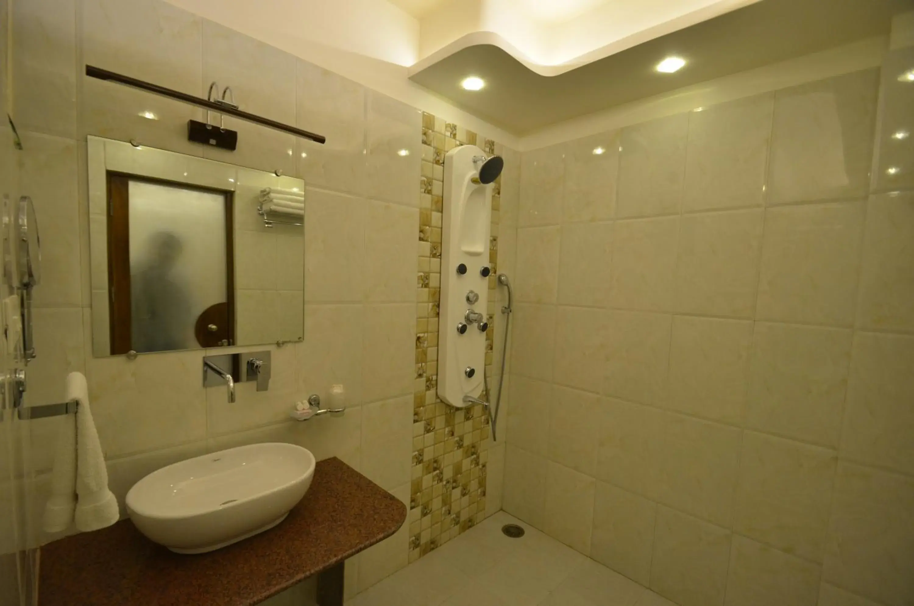 Shower, Bathroom in Hotel Banaras Haveli