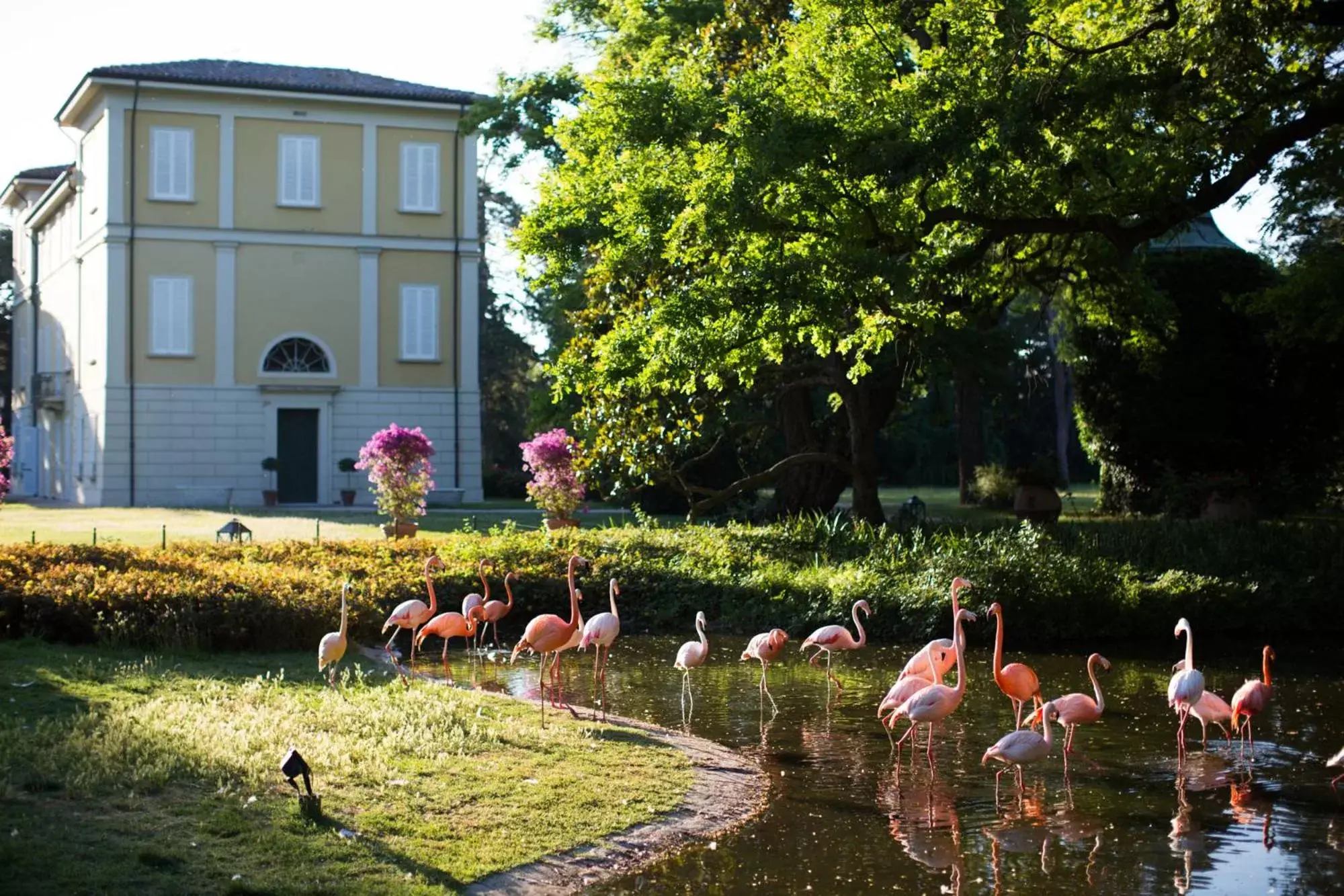 Natural landscape, Garden in Villa Abbondanzi Resort