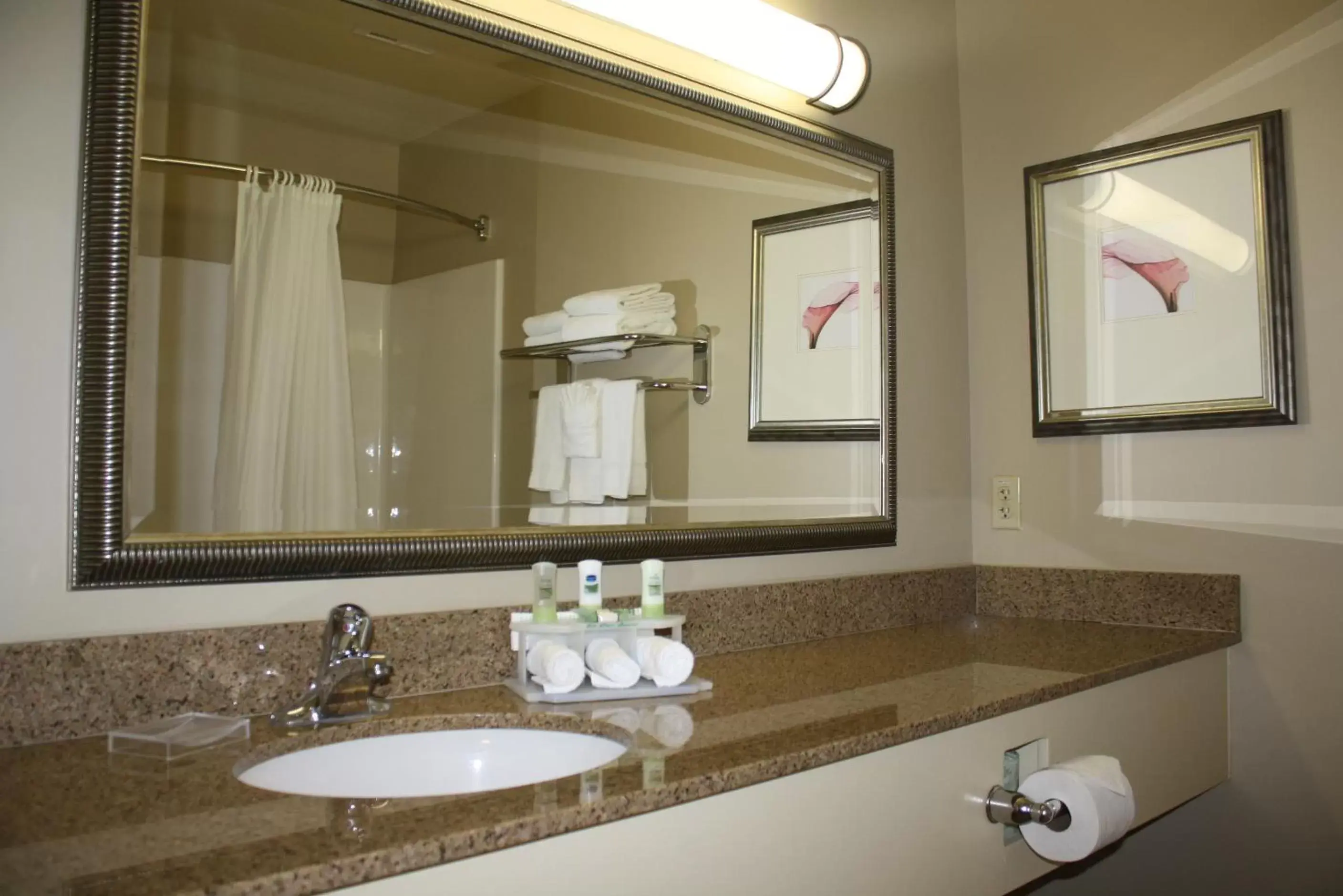 Bathroom in Country Inn & Suites by Radisson, Asheville at Asheville Outlet Mall, NC