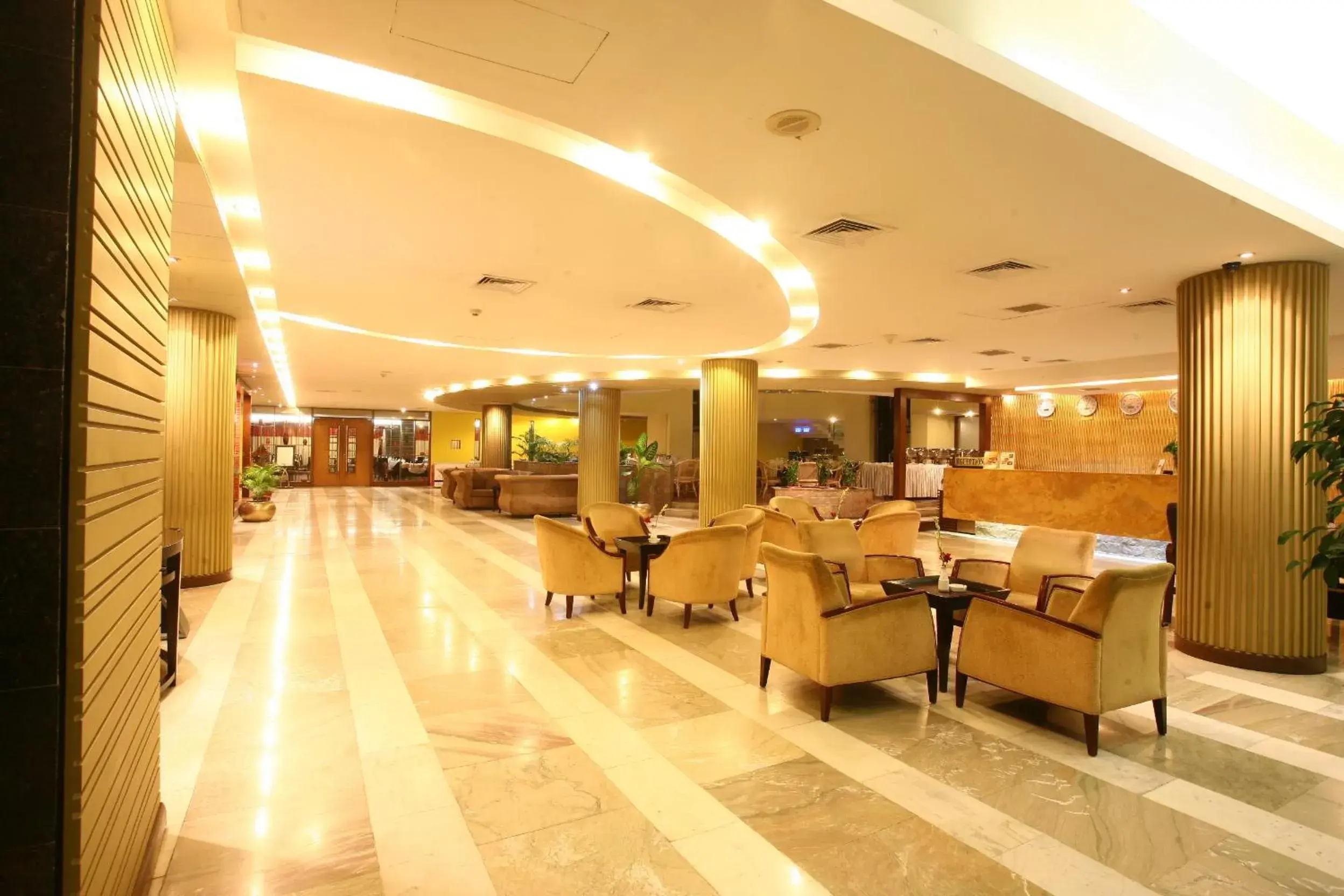 Lobby or reception, Restaurant/Places to Eat in Rose View Hotel