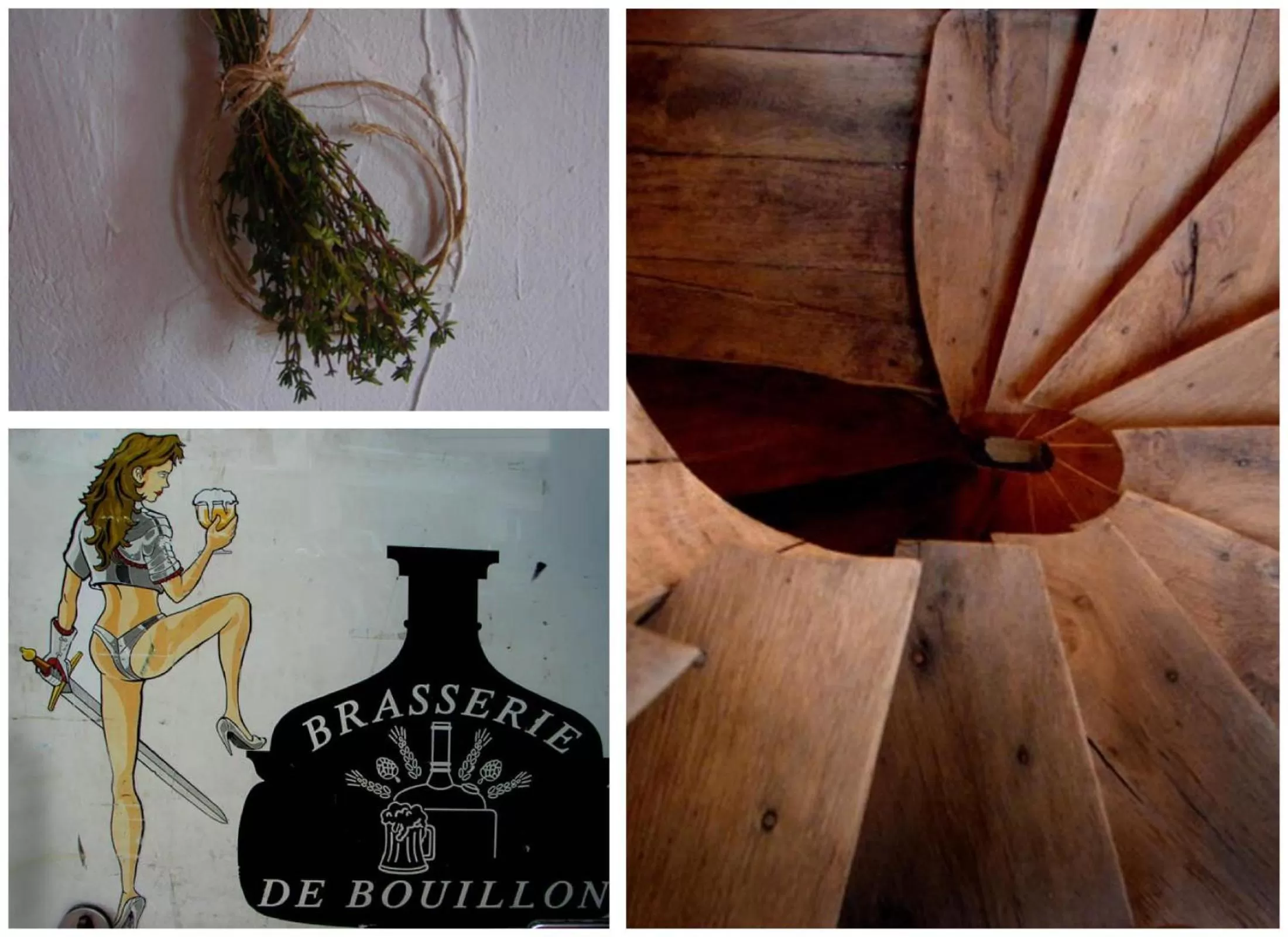 Other in Golden Lion